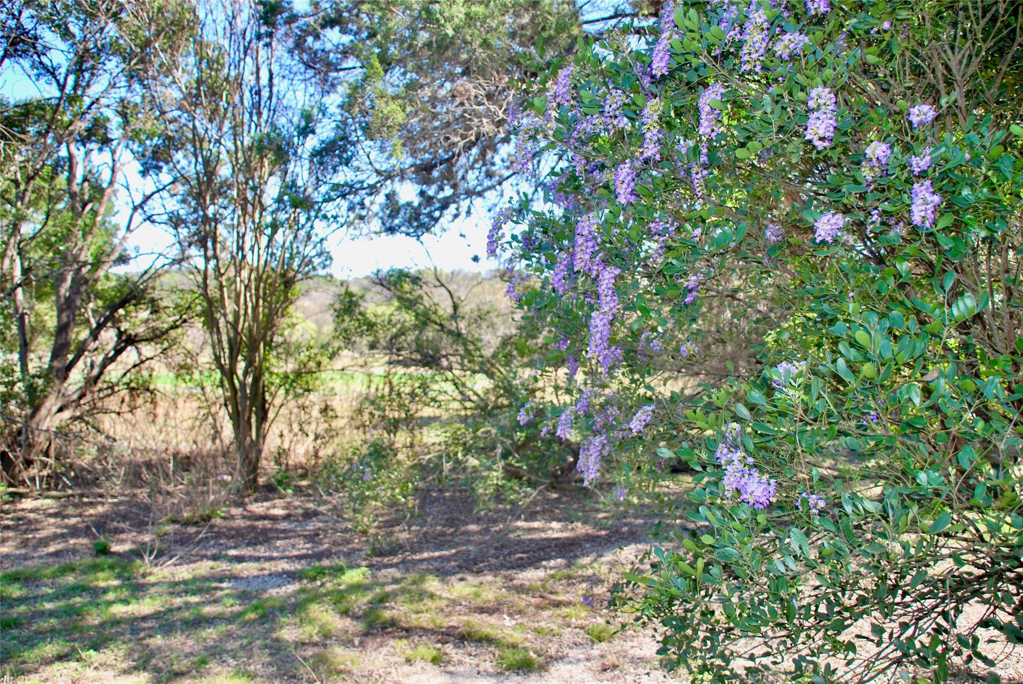 625 Mountain Laurel Dr, New Braunfels, TX 78132