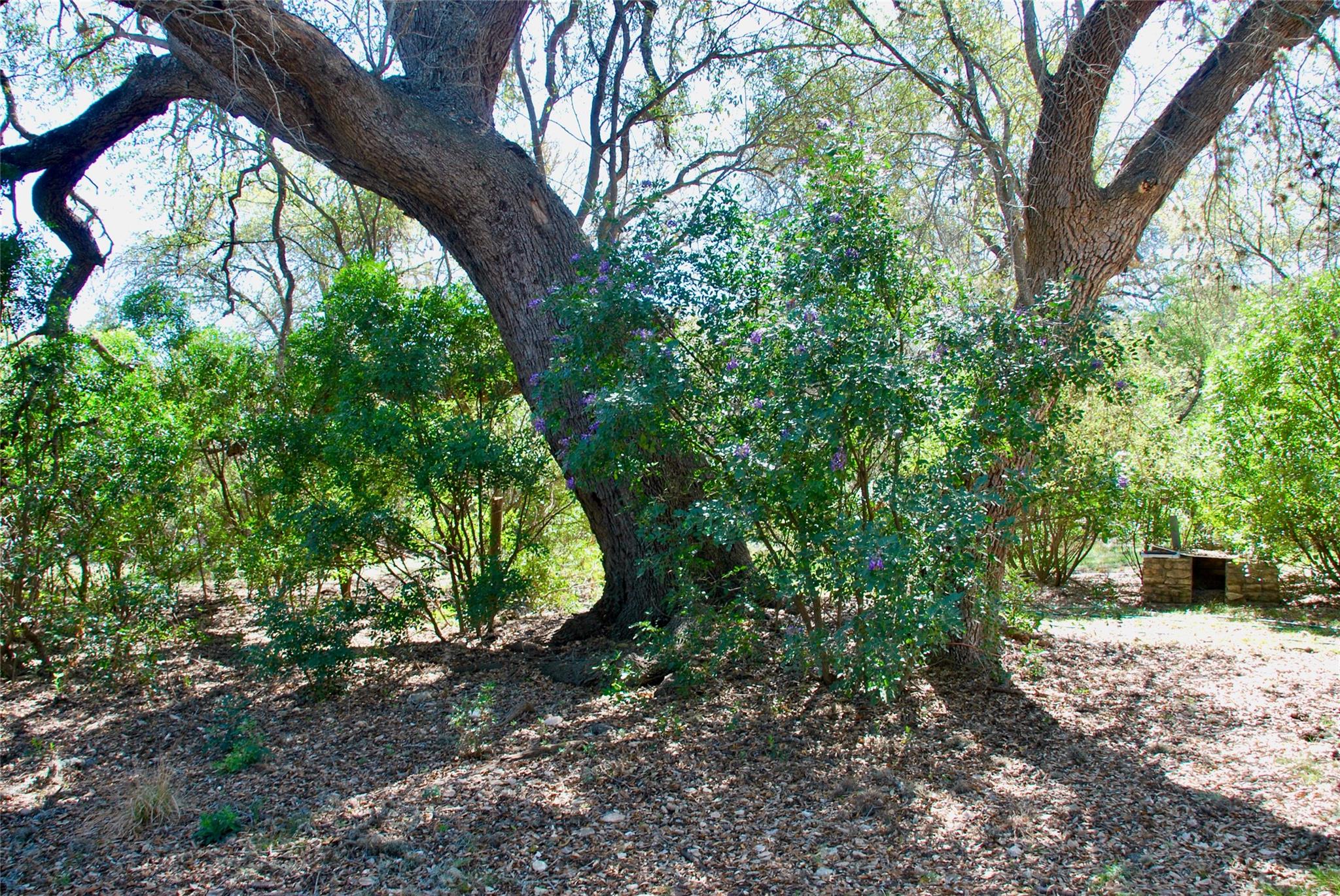 625 Mountain Laurel Dr, New Braunfels, TX 78132