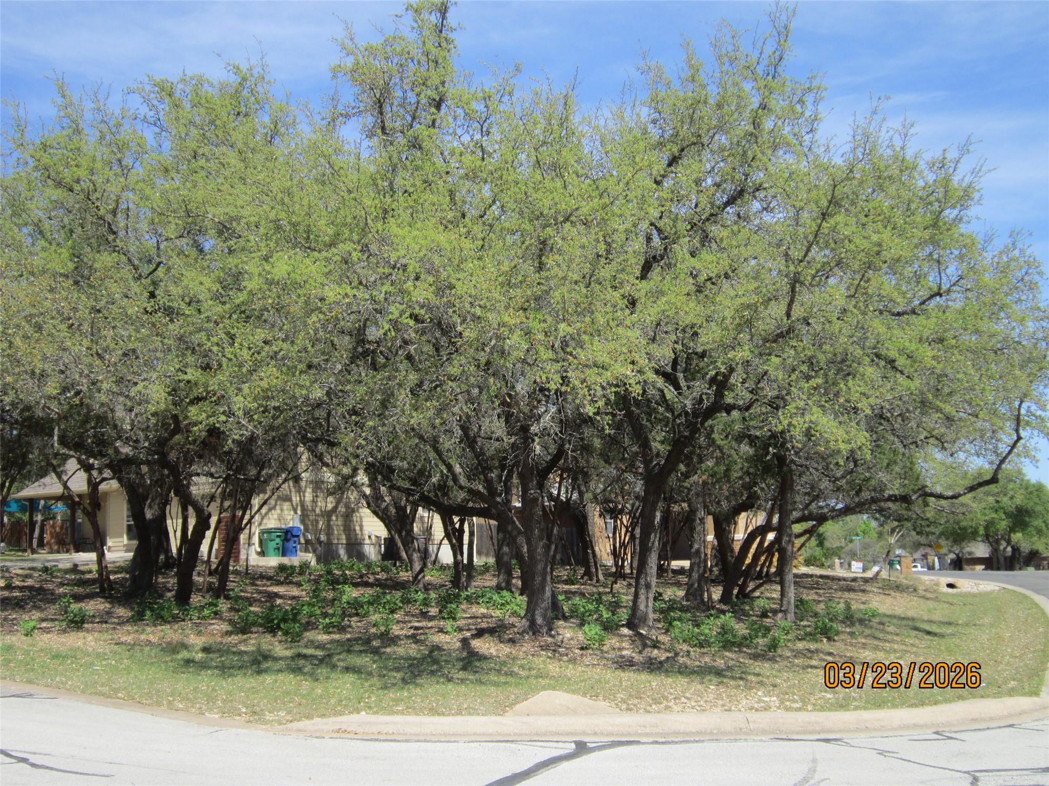 18804 Venture Dr, Point Venture, TX 78645