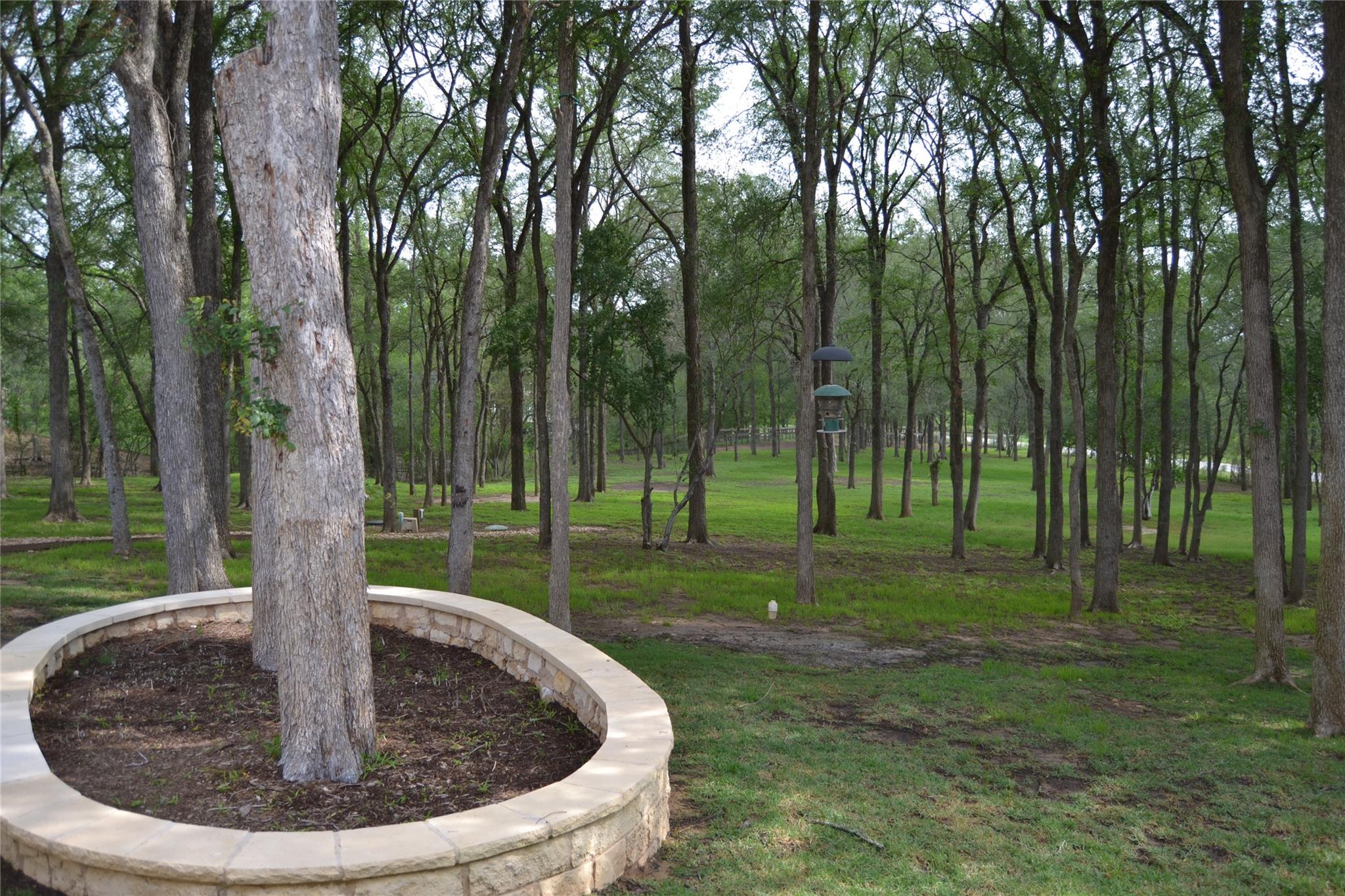 142 Llano Ct, Cedar Creek, TX 78612