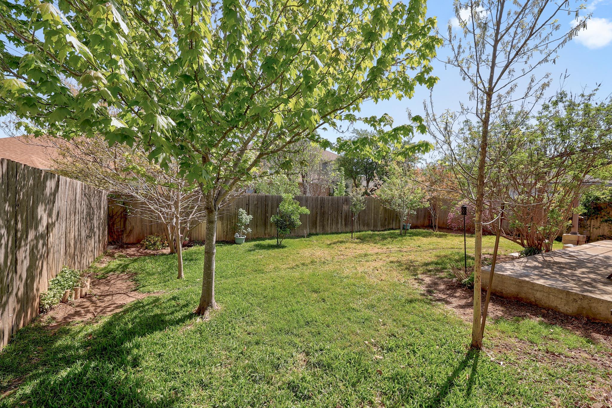 3708 Julianas Way, Round Rock, TX 78665