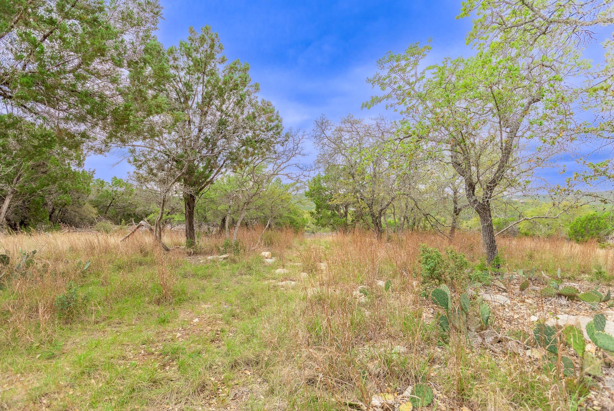 1925 Cripple Creek Stage Rd, Dripping Springs, TX 78620