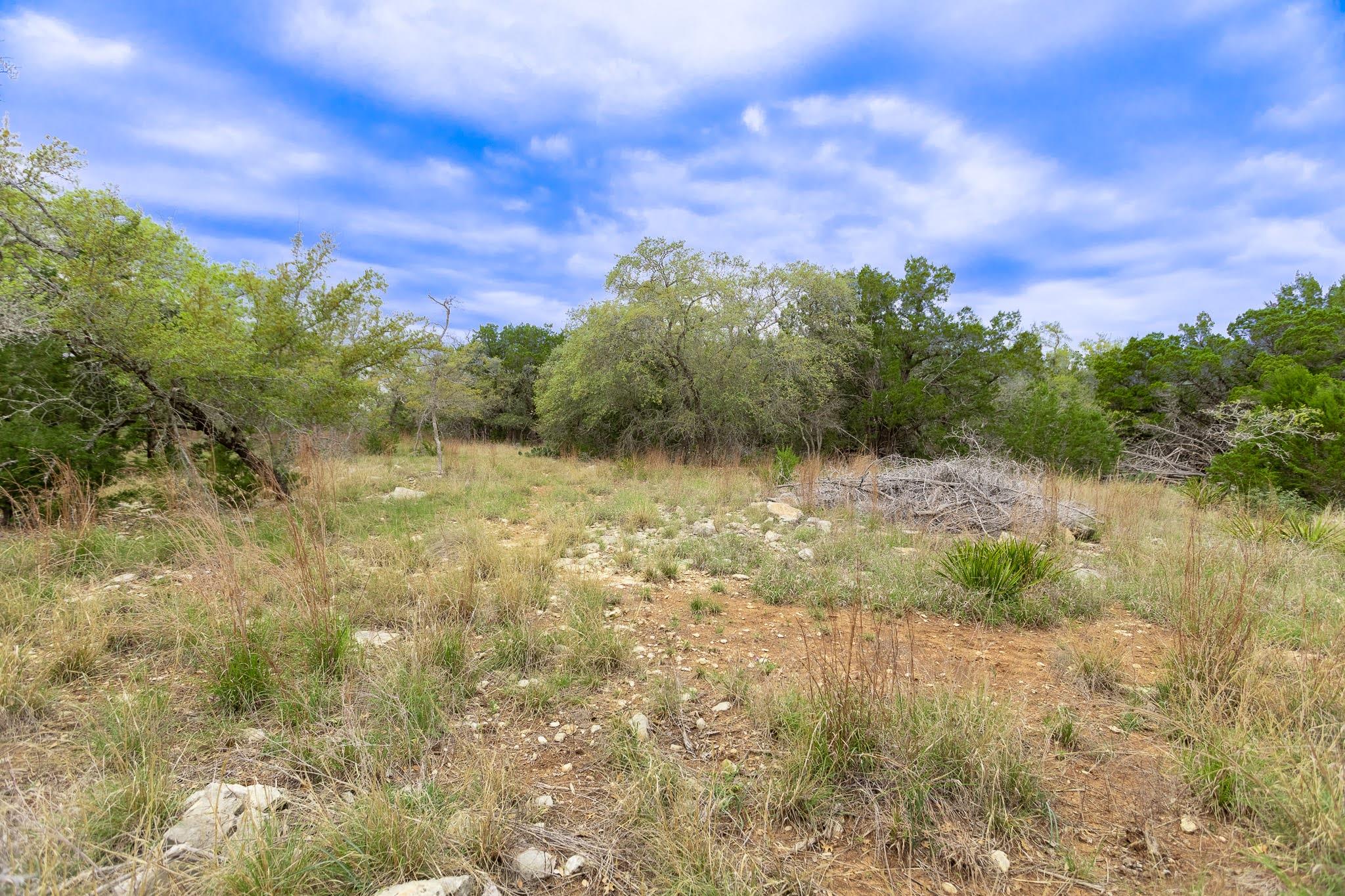 1925 Cripple Creek Stage Rd, Dripping Springs, TX 78620