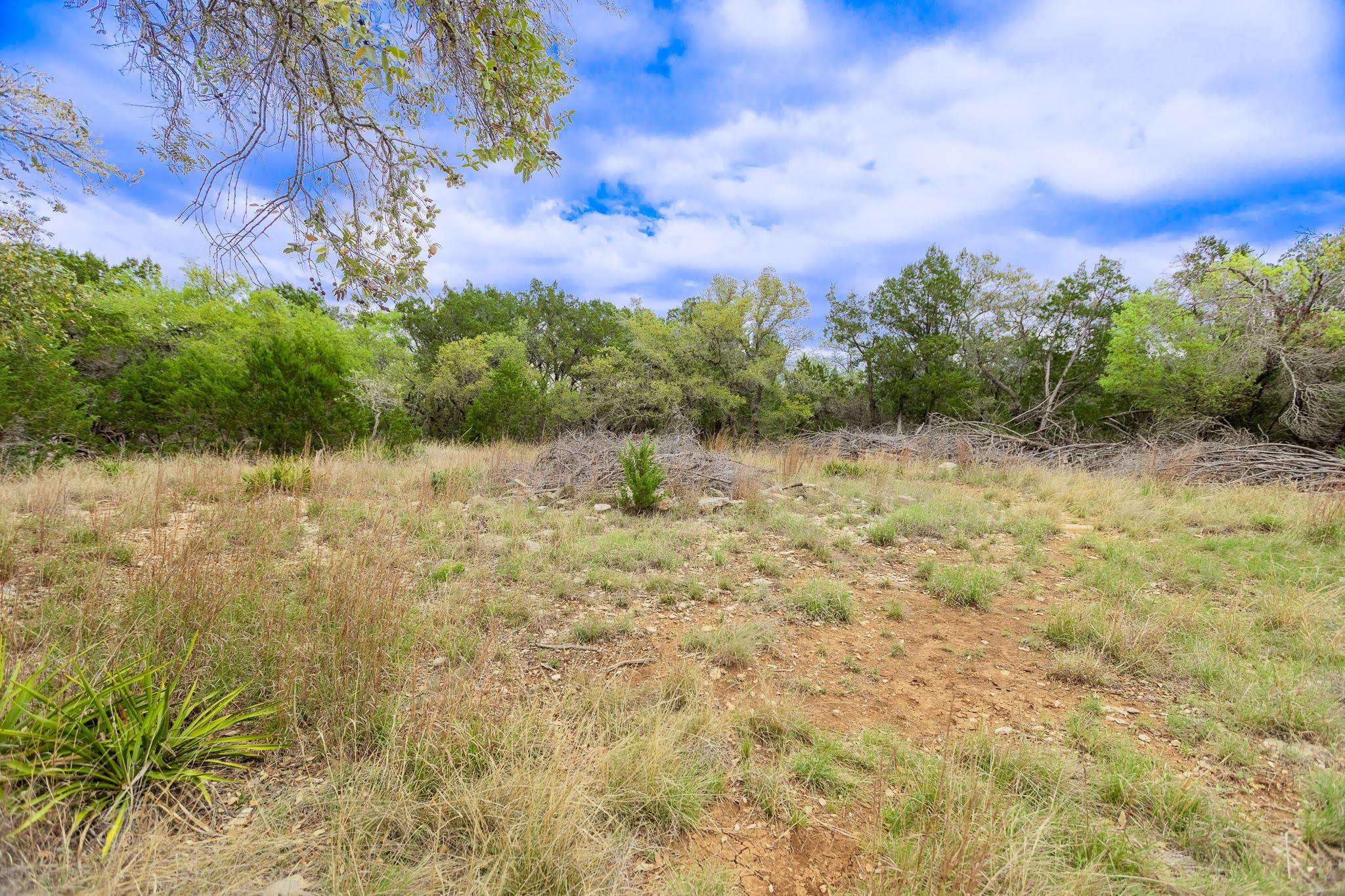 1925 Cripple Creek Stage Rd, Dripping Springs, TX 78620