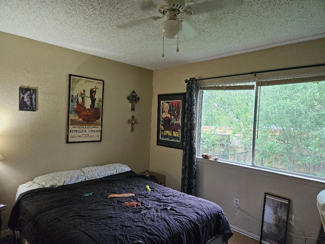 817 Lexington Rd, Elgin, TX 78621