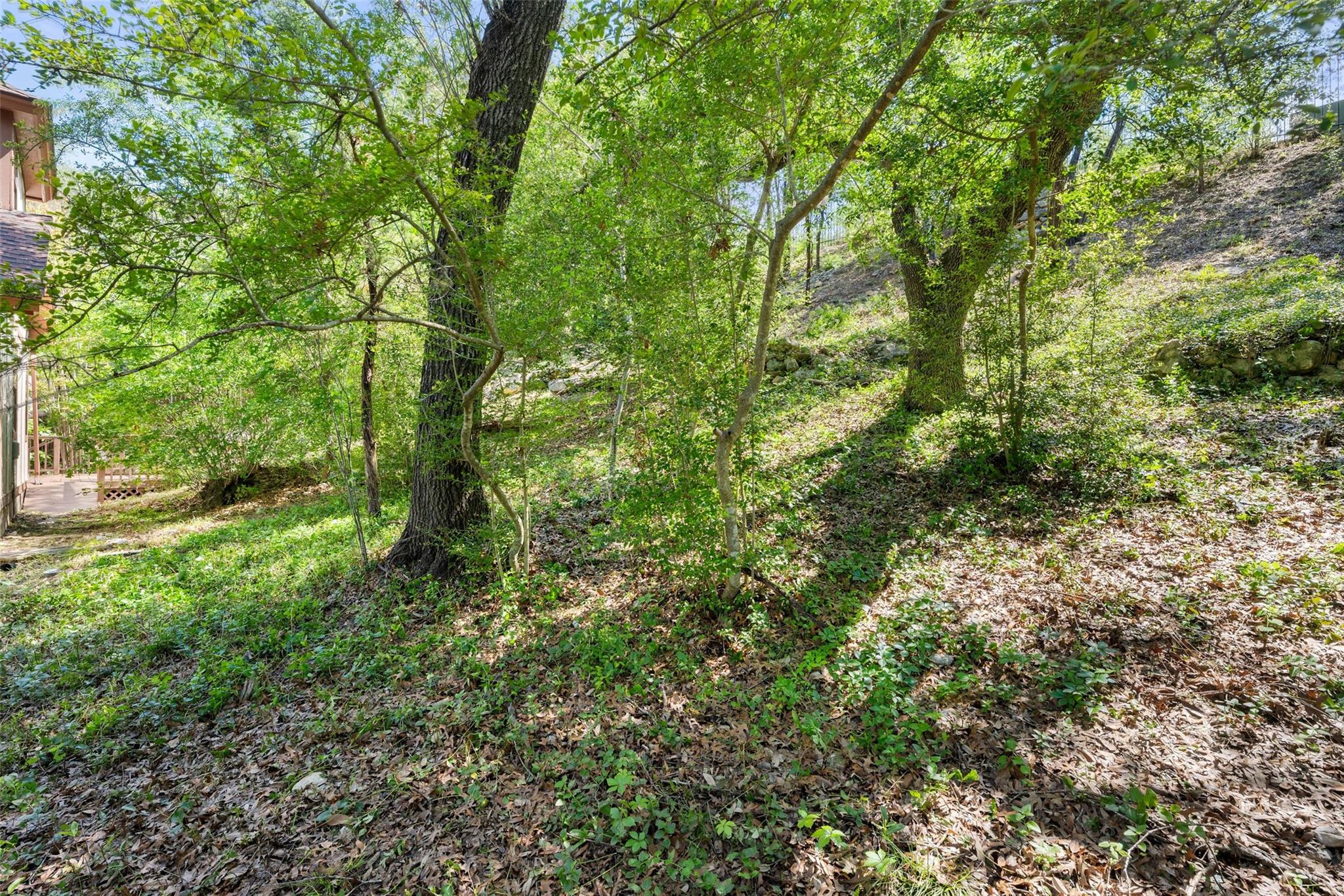 10100 Talleyran Dr, Austin, TX 78750
