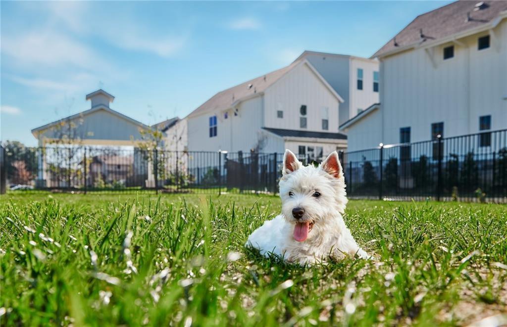 2624 Metcalfe Rd # 8, Austin, TX 78741