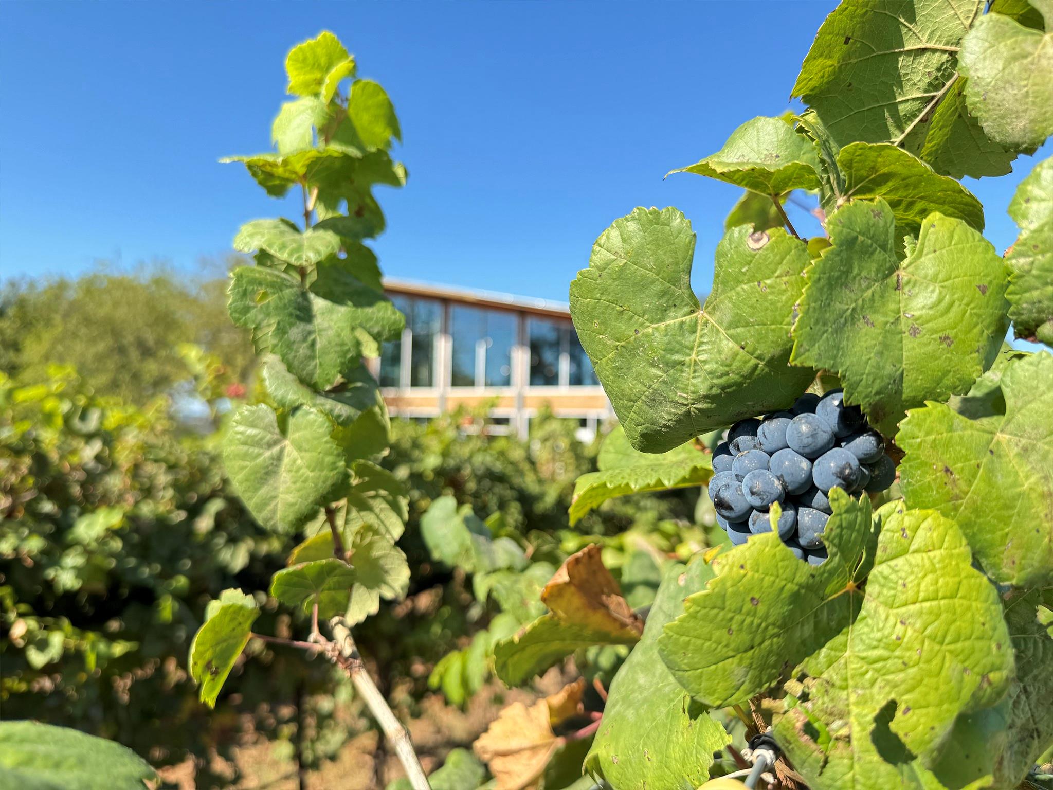 9361 W Us Highway 290 # Lantana, Hye, TX 78635