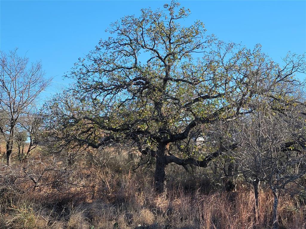 Lot 434-435 Rockcrest Dr, Granite Shoals, TX 78654