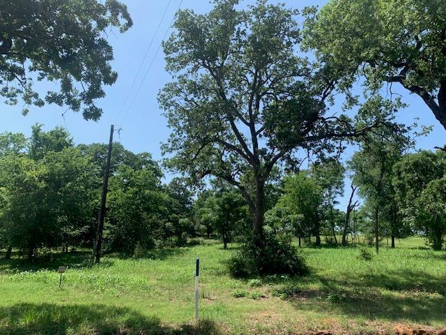258 Colovista Pkwy, Bastrop, TX 78602