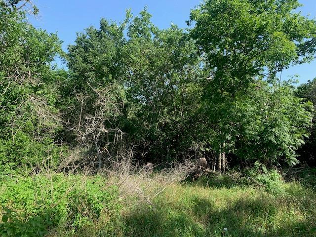 262 Colovista Pkwy, Bastrop, TX 78602