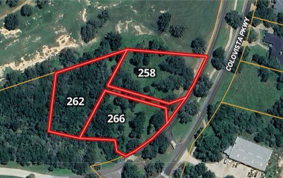 266 Colovista Pkwy, Bastrop, TX 78602