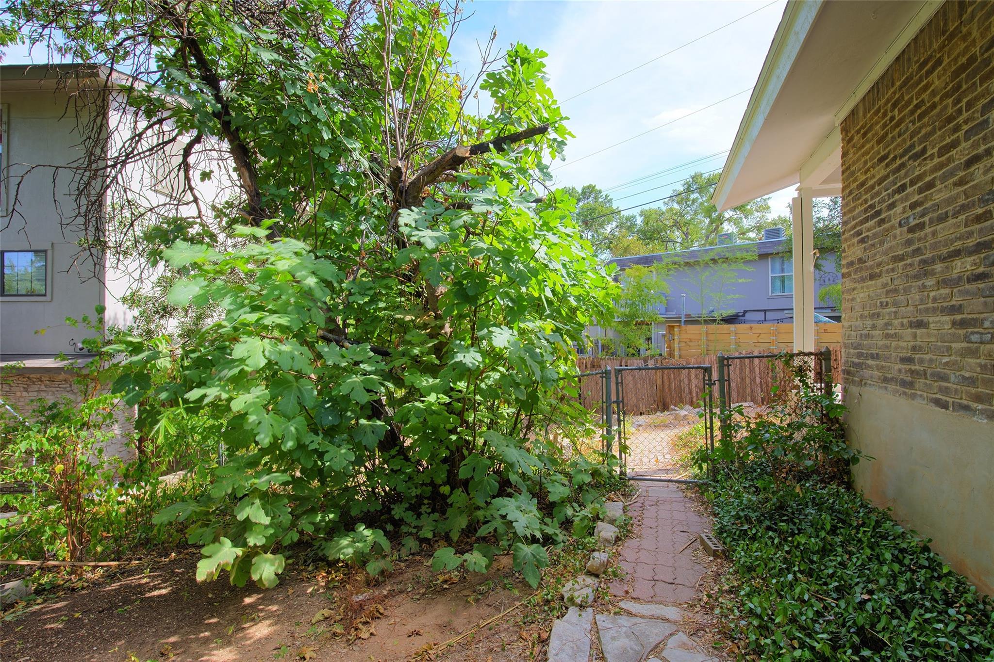 2005 Cody Ct # A, Austin, TX 78704