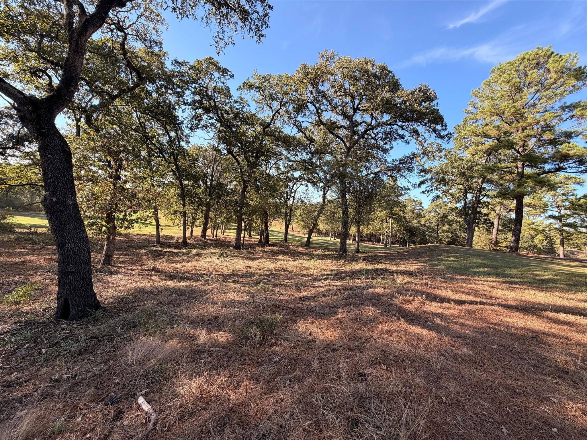 Tract 4 Riverwalk Ln, Bastrop, TX 78602