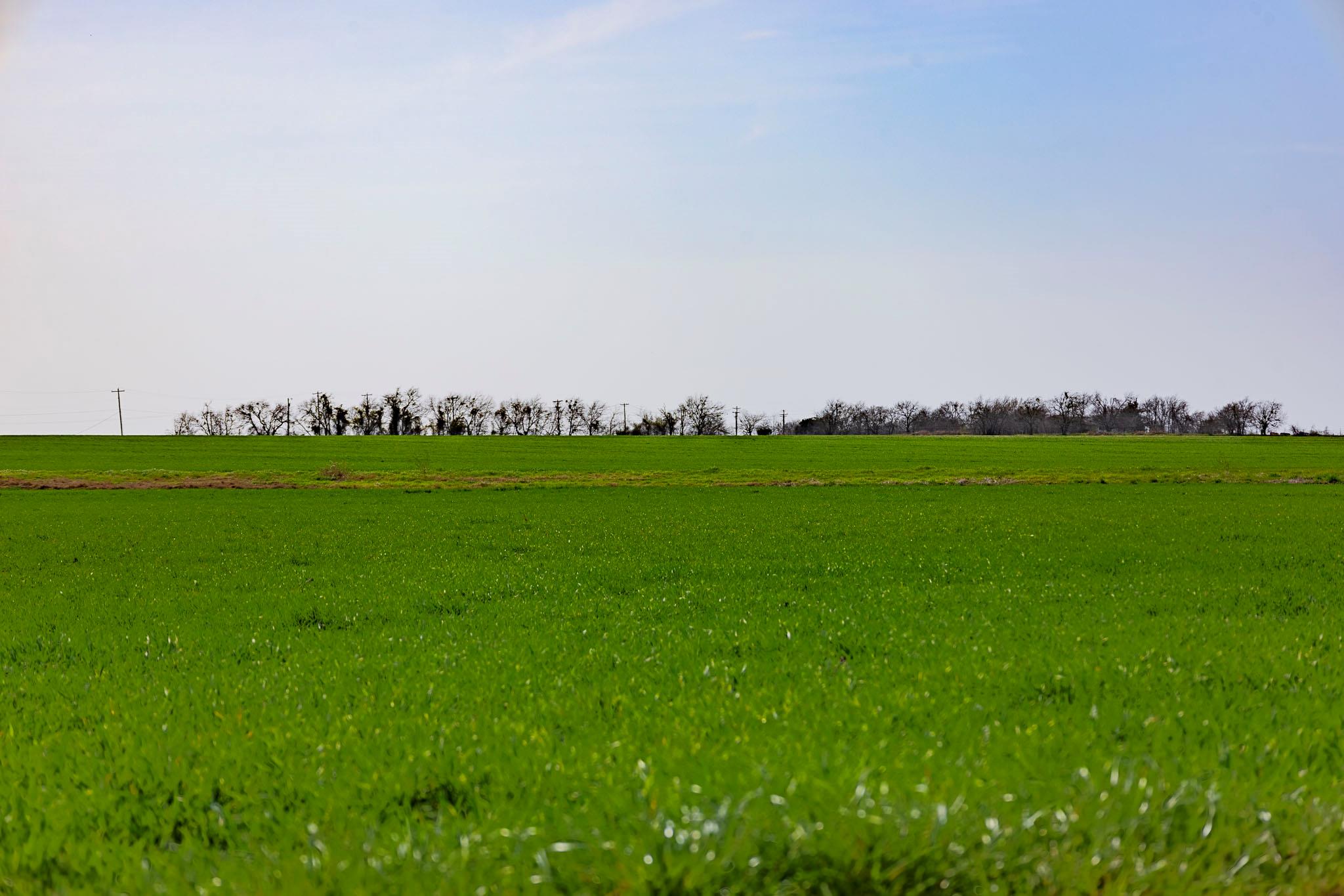 7531 FM 1105 Rd, Georgetown, TX 78626