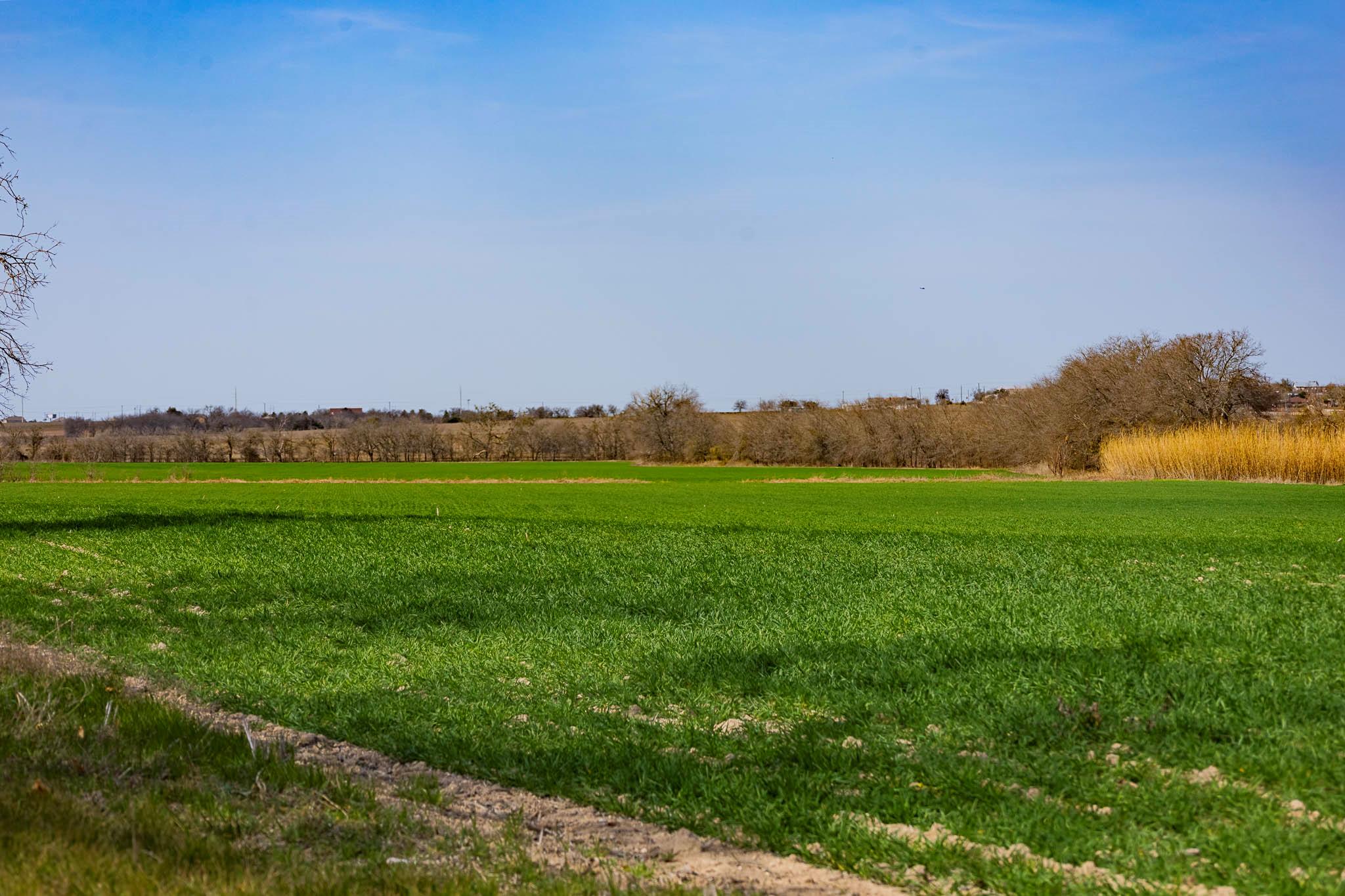 7531 FM 1105 Rd, Georgetown, TX 78626