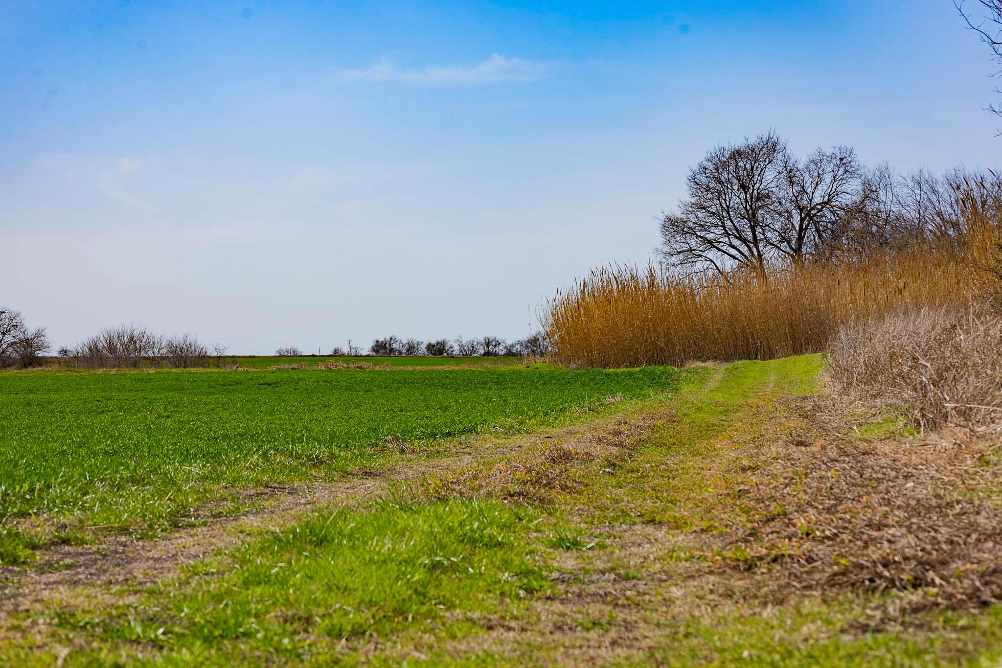 7531 FM 1105 Rd, Georgetown, TX 78626