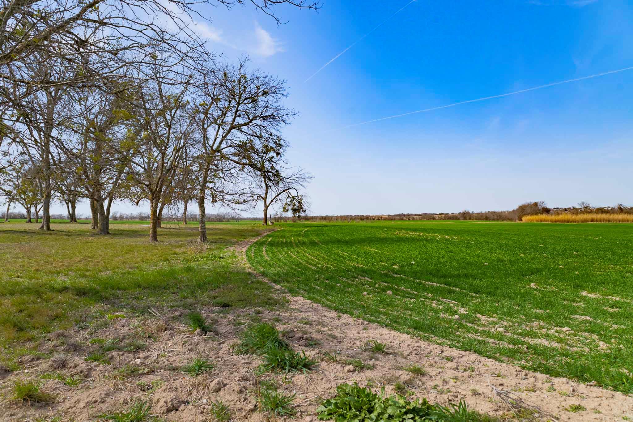 7531 FM 1105 Rd, Georgetown, TX 78626