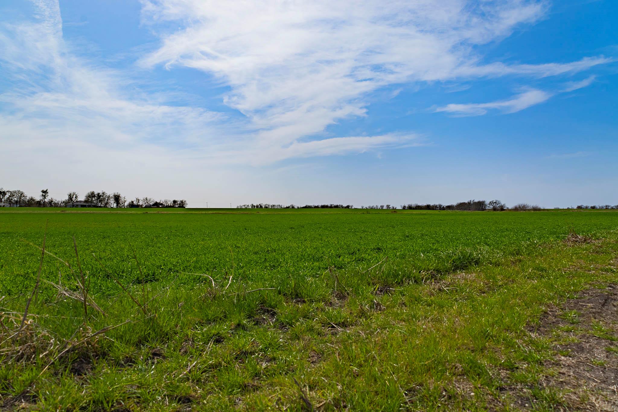 7531 FM 1105 Rd, Georgetown, TX 78626