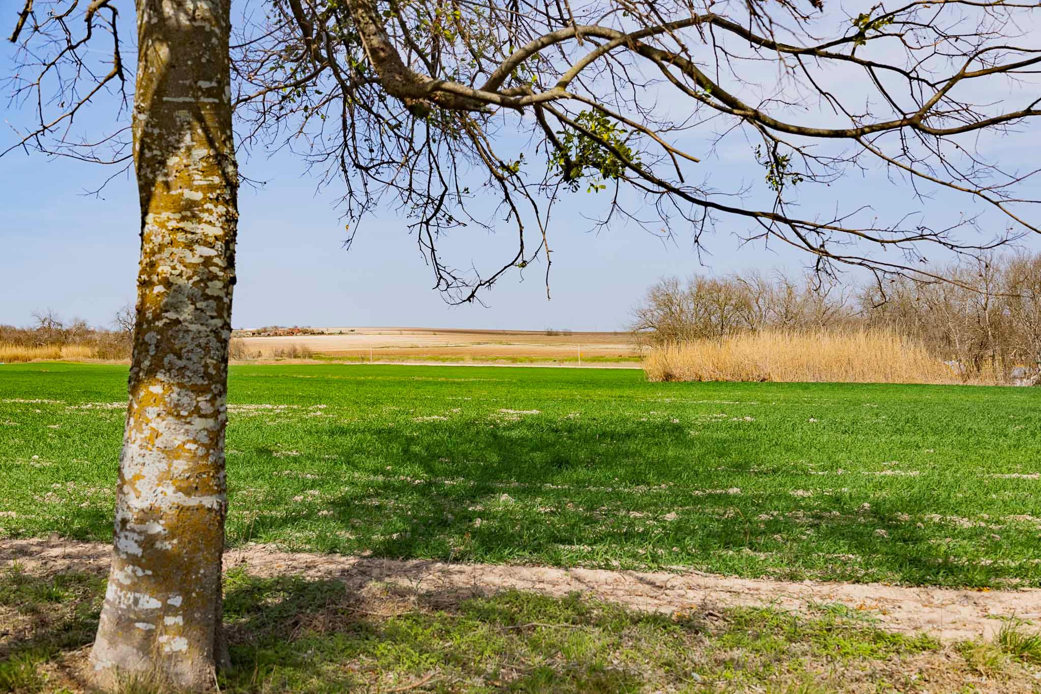 7531 FM 1105 Rd, Georgetown, TX 78626