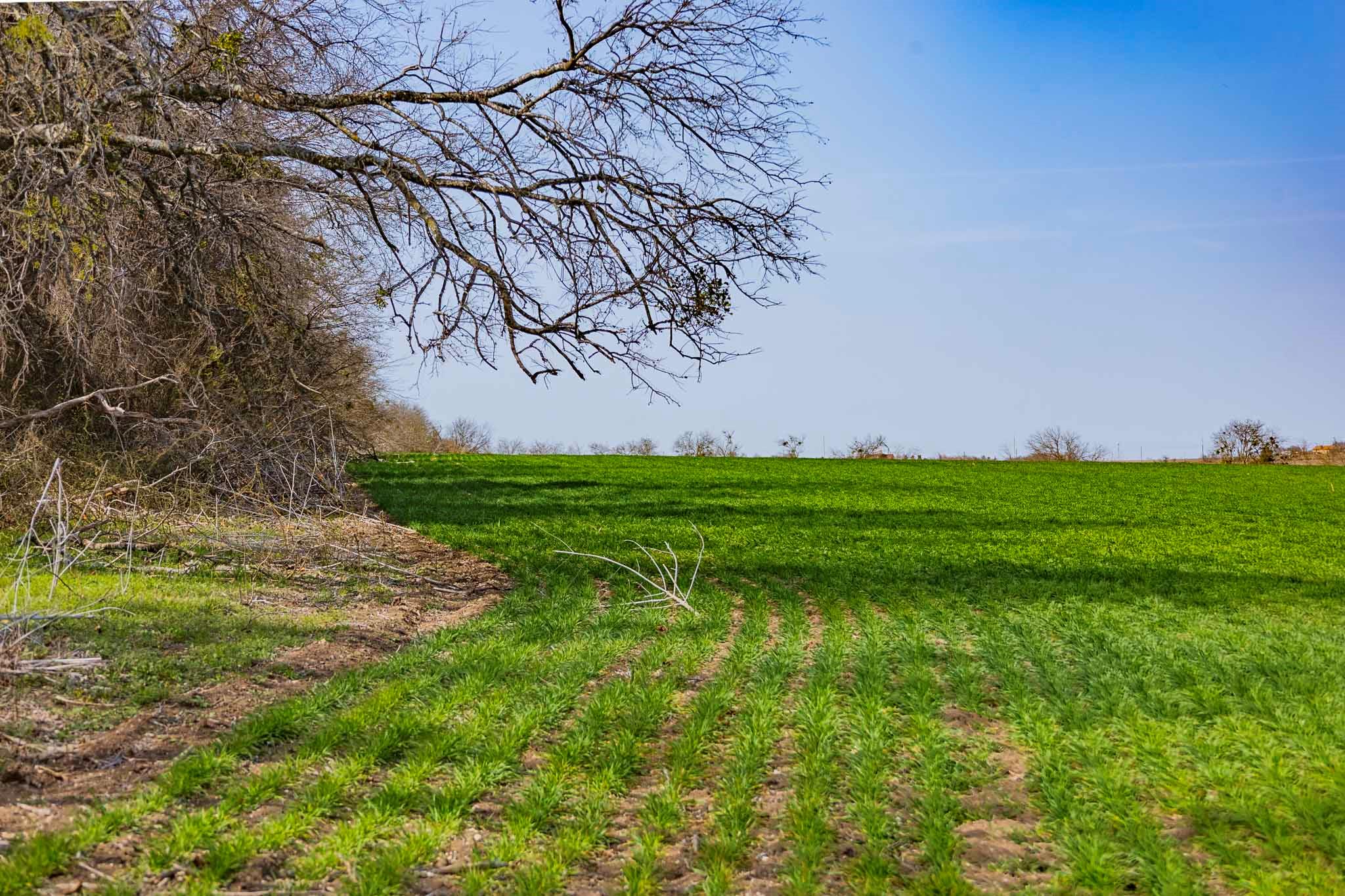 7531 FM 1105 Rd, Georgetown, TX 78626