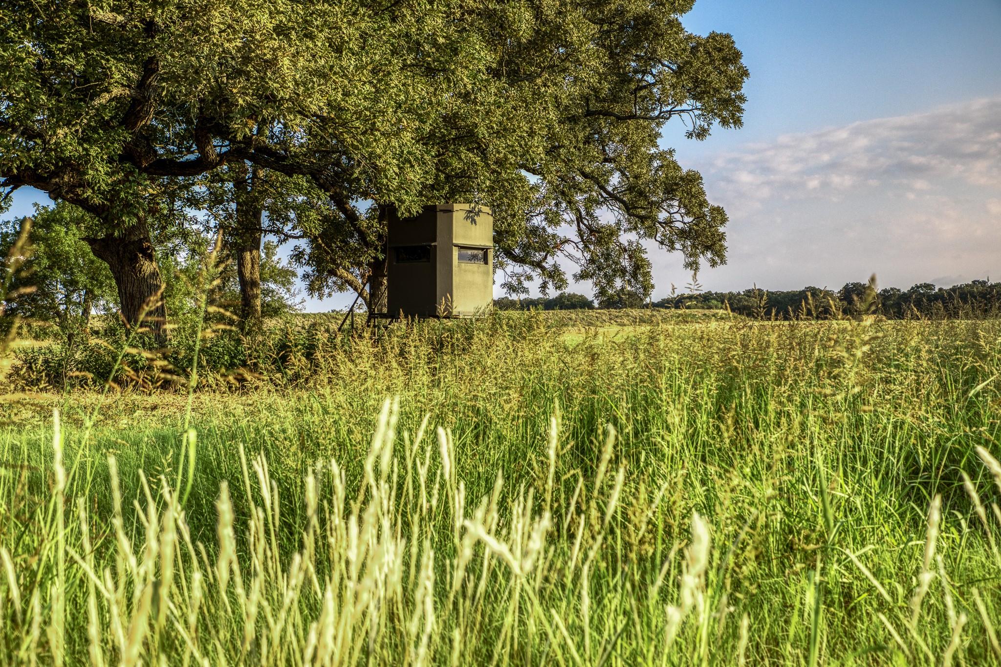 3096 Happy Swaner Ln, Axtell, TX 76624