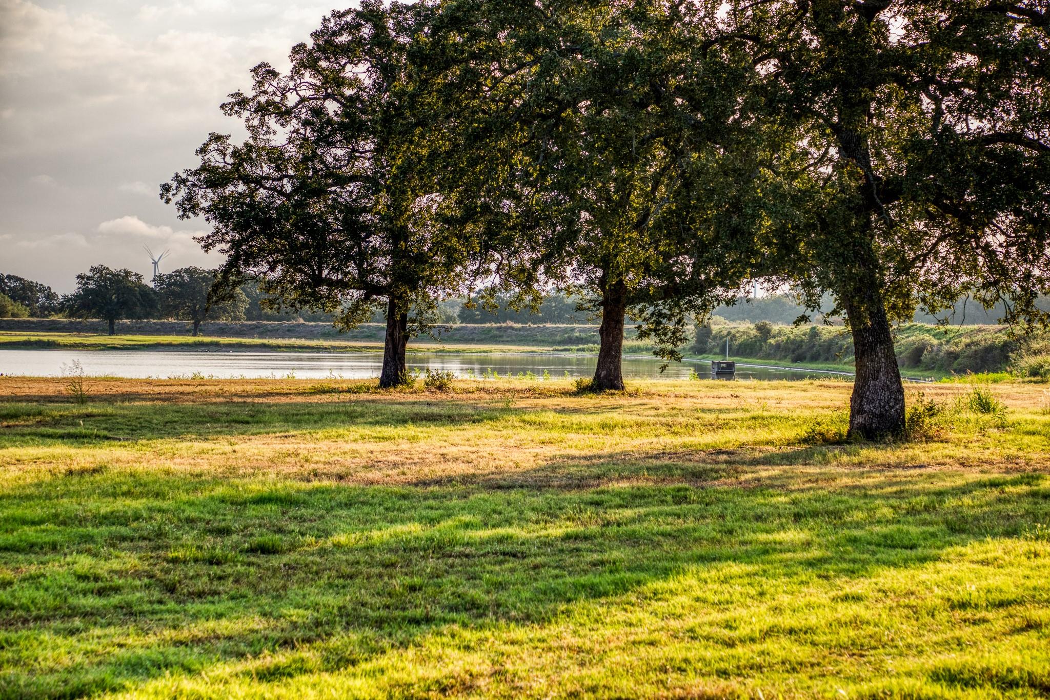 3096 Happy Swaner Ln, Axtell, TX 76624