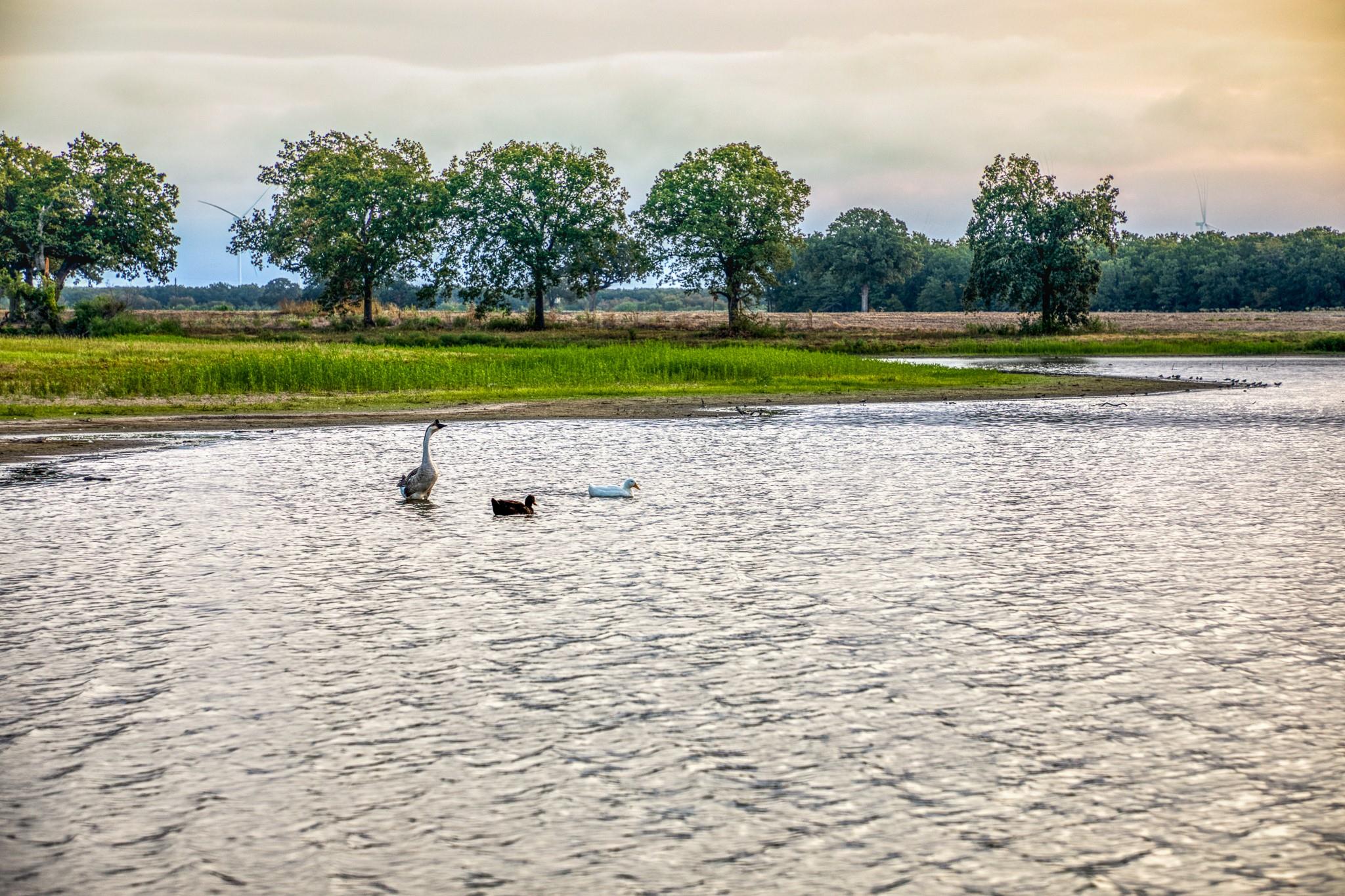 3096 Happy Swaner Ln, Axtell, TX 76624