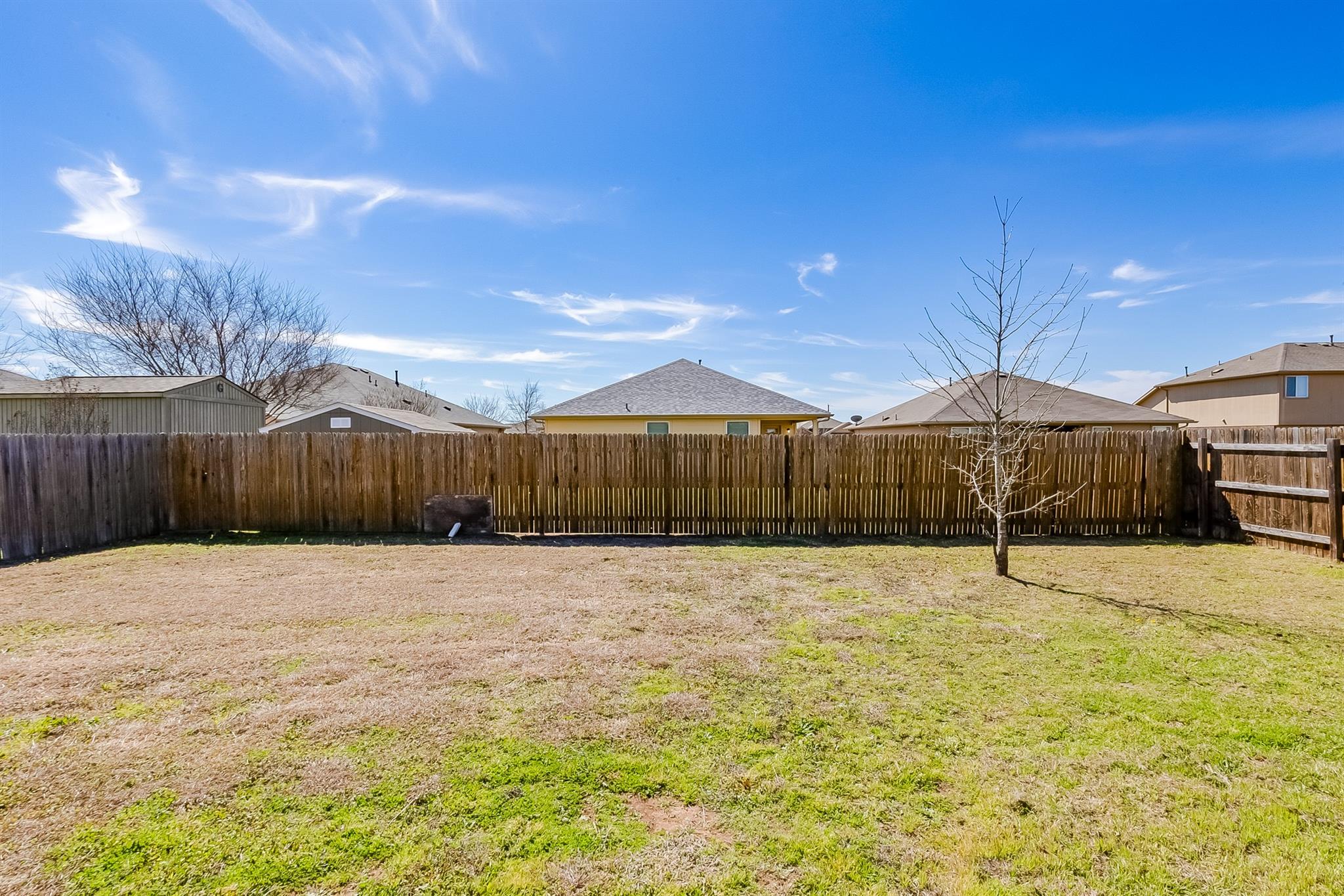 406 Camellia Dr, Hutto, TX 78634