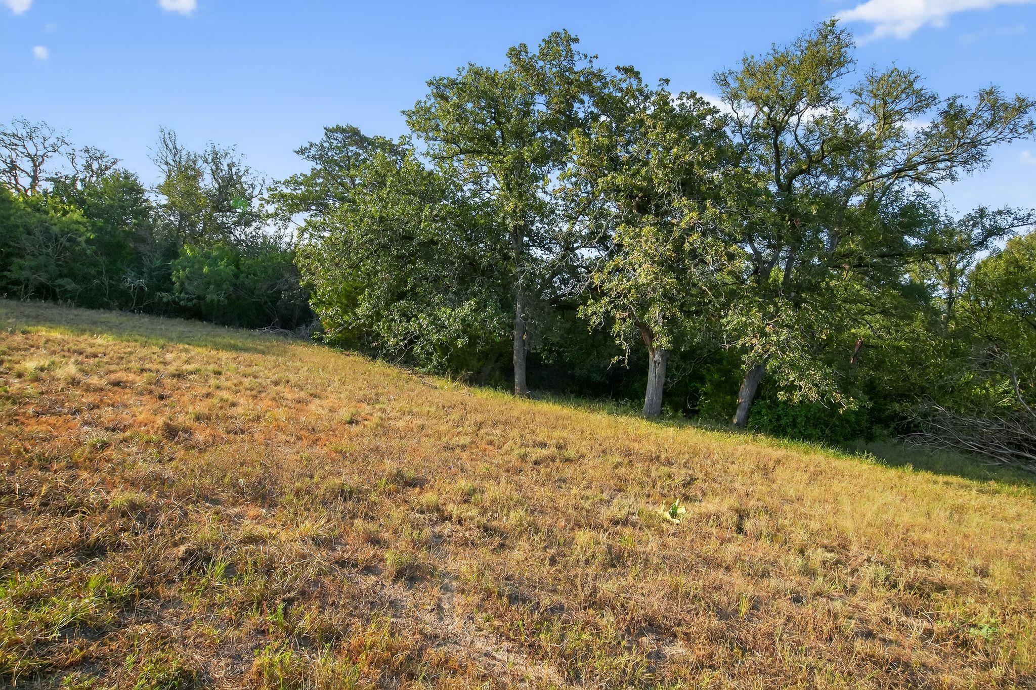 (TBD) 2959 FM 20 Highway, Red Rock, TX 78662