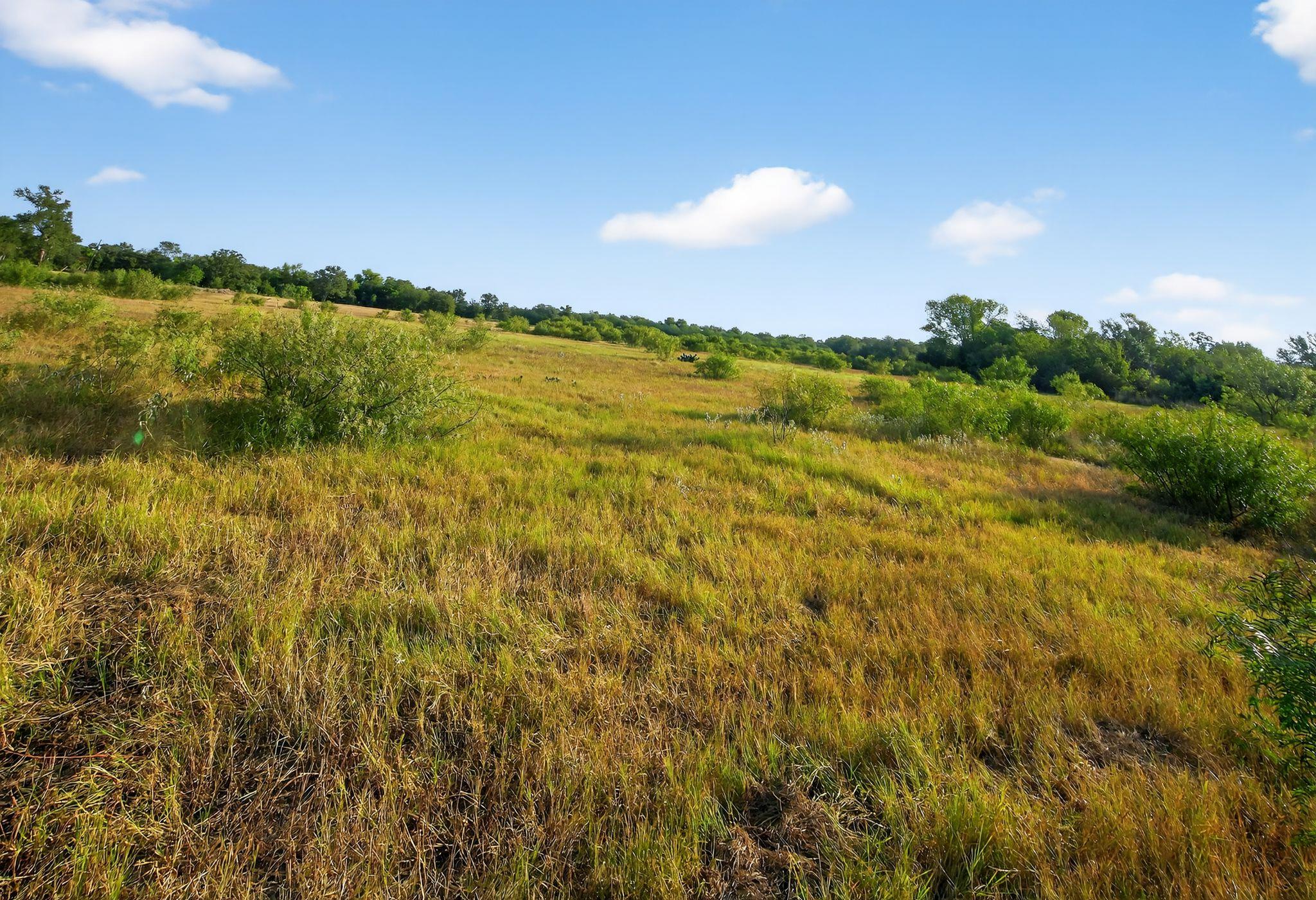 (TBD) 2959 FM 20 Highway, Red Rock, TX 78662