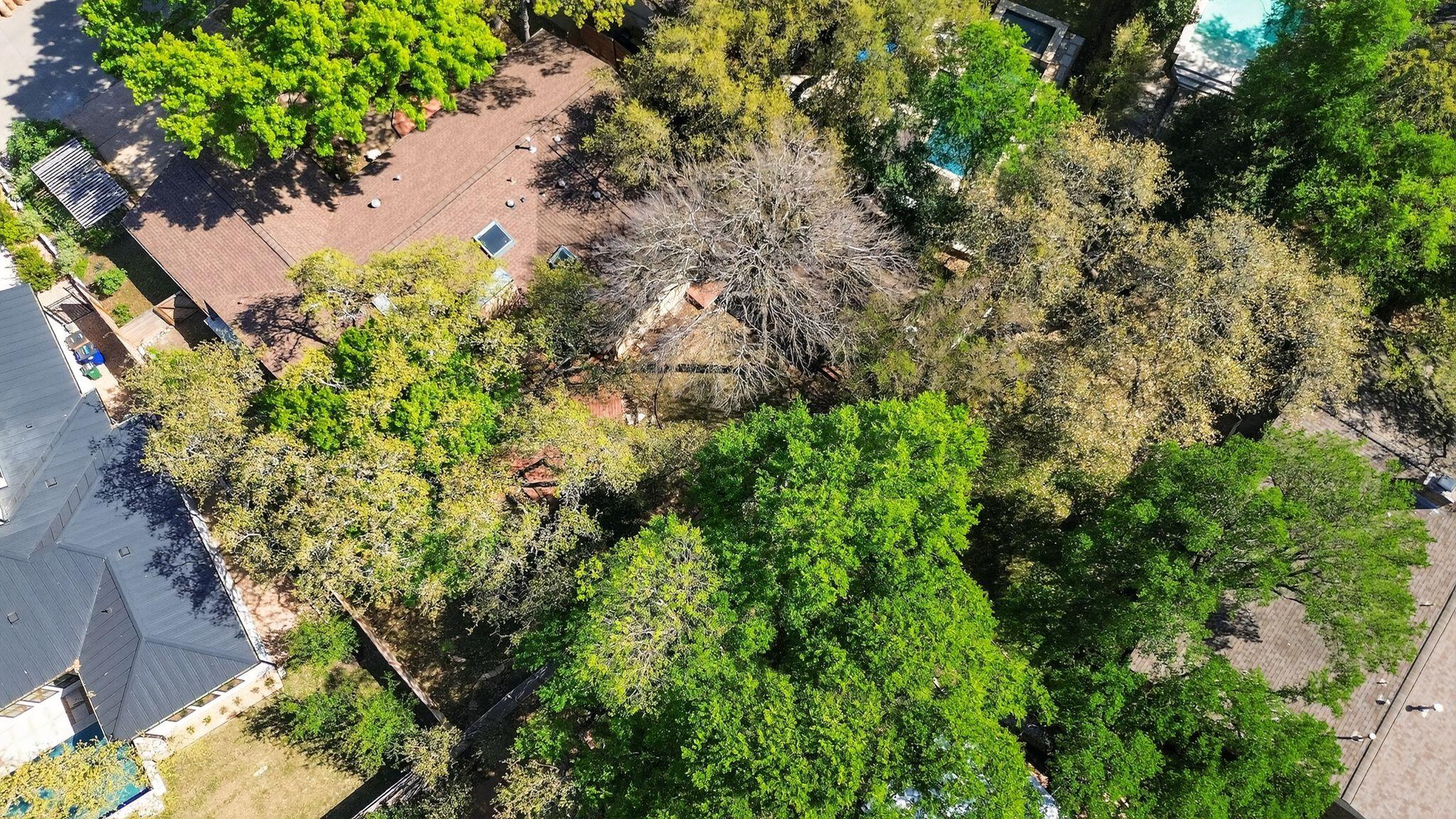 2104 Four Oaks Ln, Austin, TX 78704