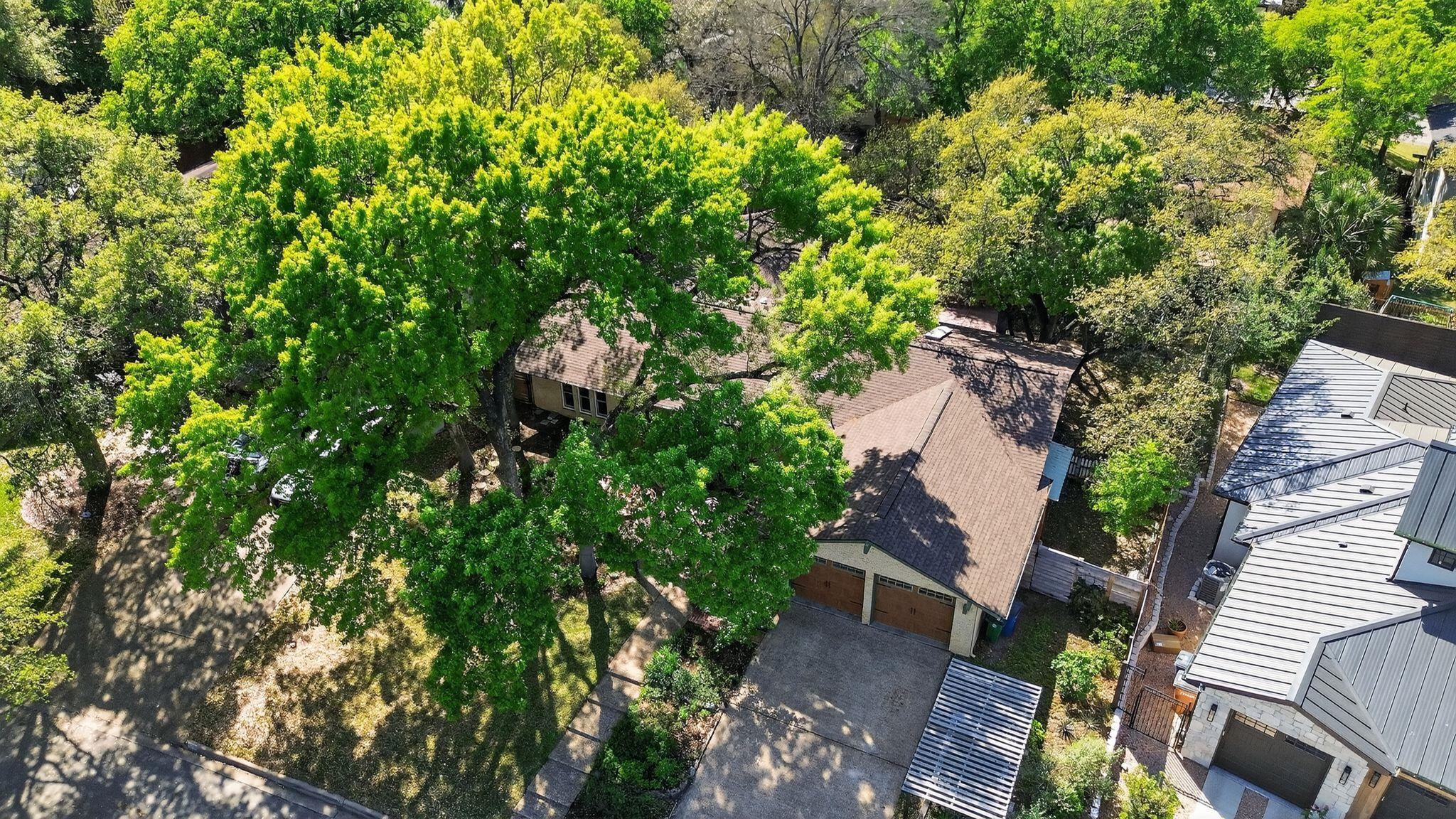 2104 Four Oaks Ln, Austin, TX 78704