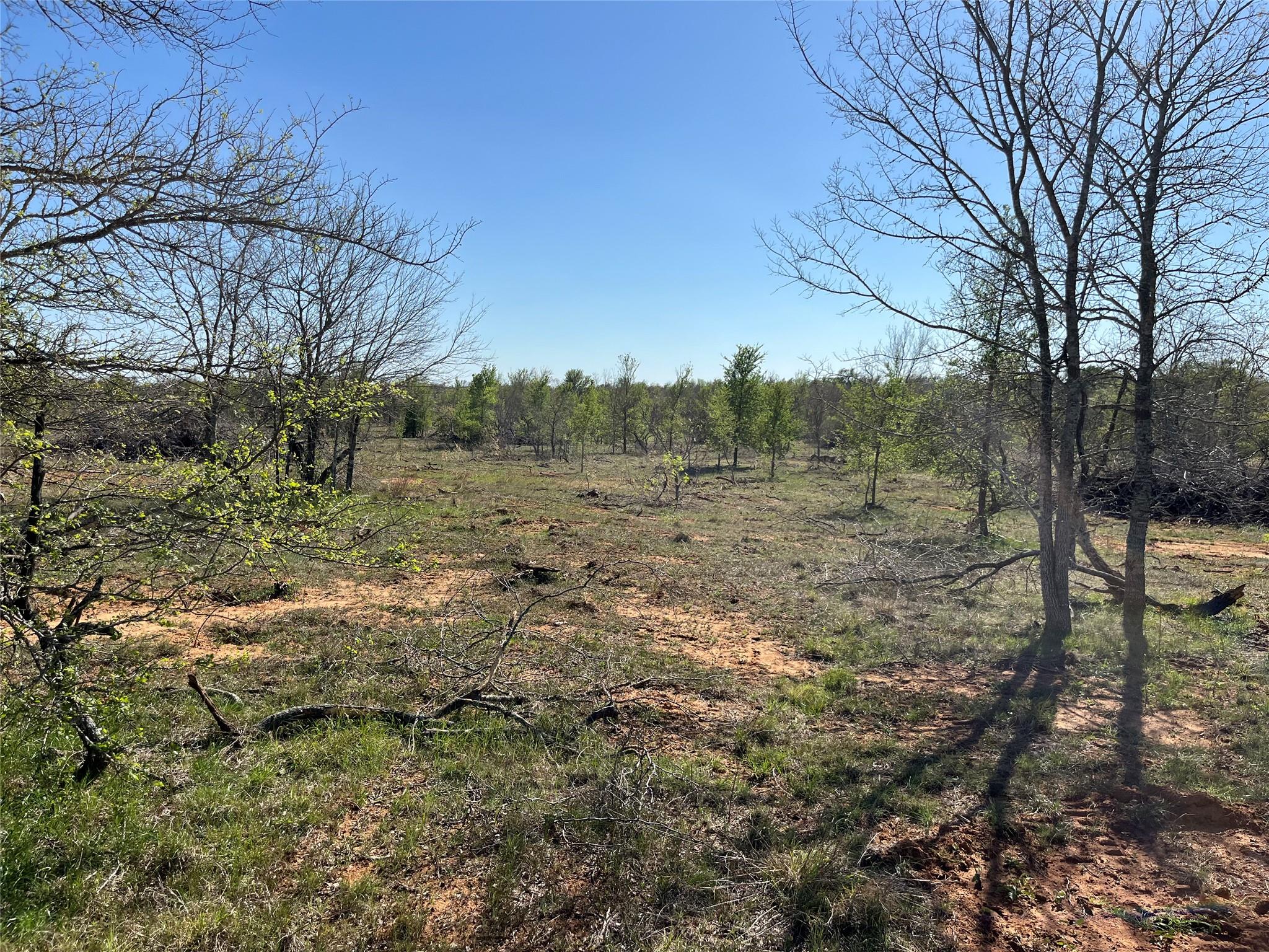 000 FM 619, Thrall, TX 76578