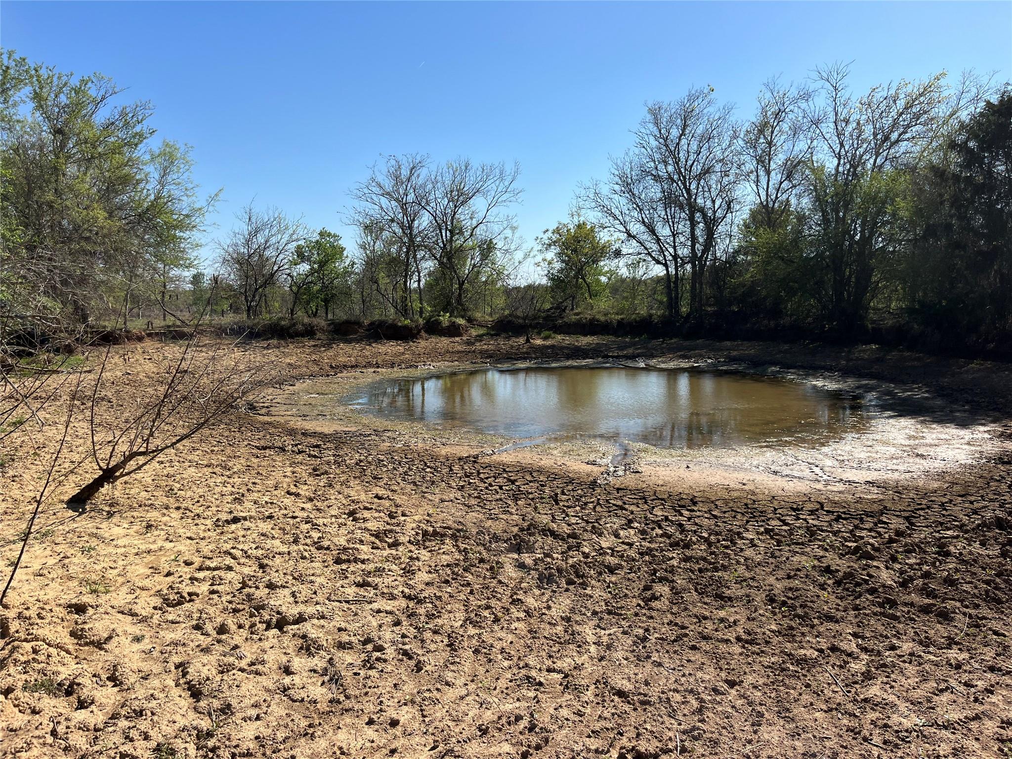 000 FM 619, Thrall, TX 76578