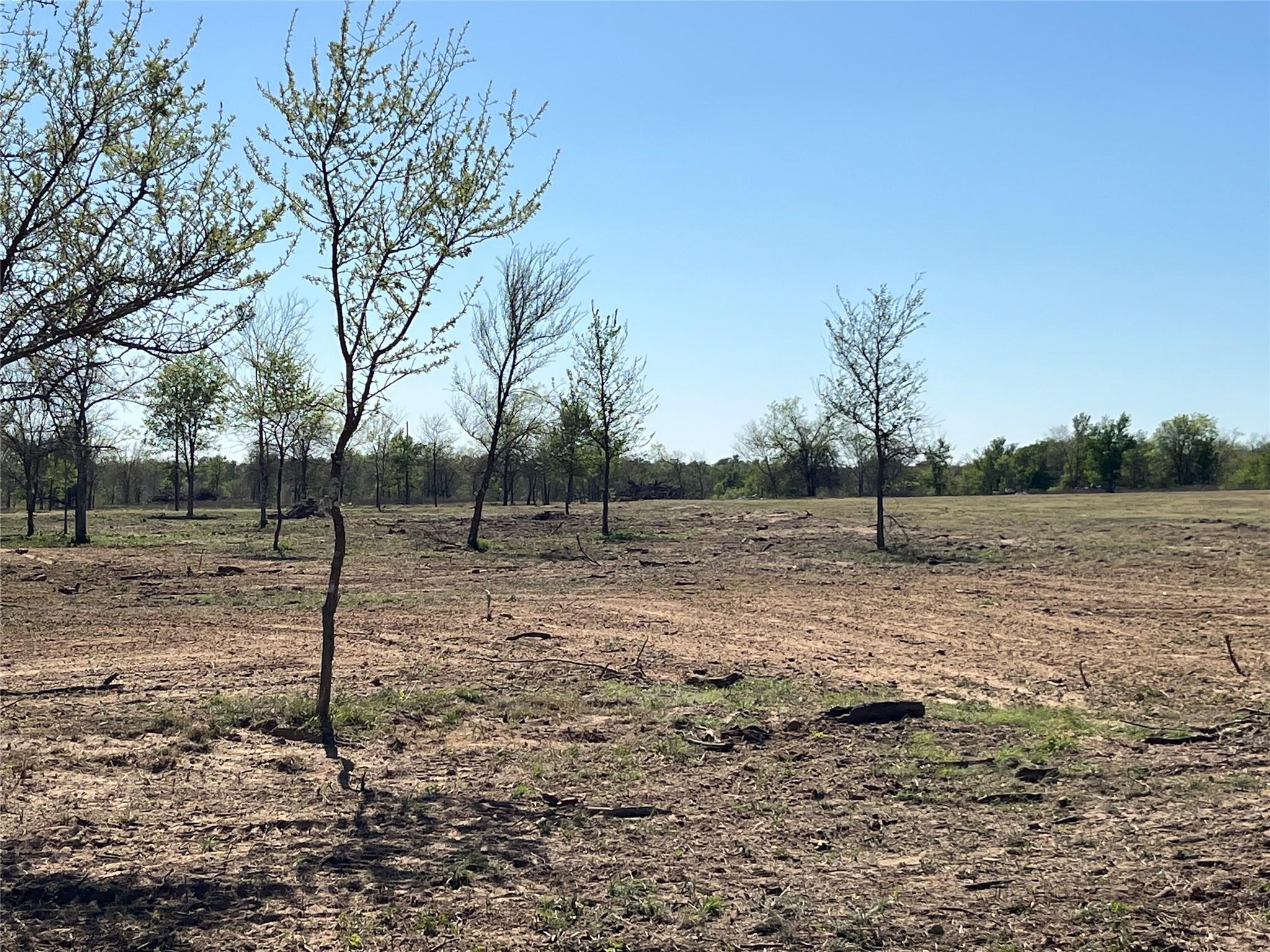 000 FM 619, Thrall, TX 76578