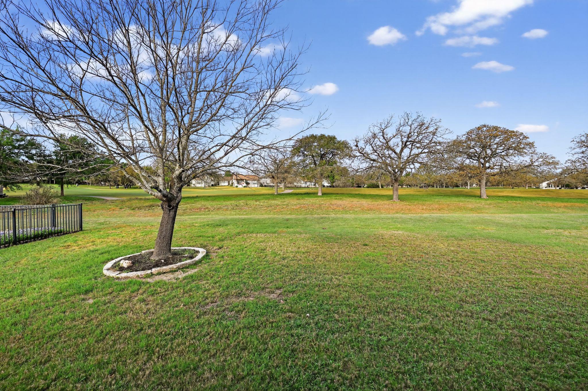 526 Dove Hollow Trl, Georgetown, TX 78633