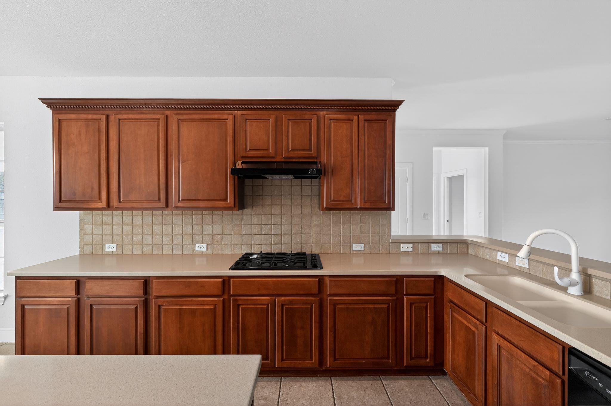 526 Dove Hollow Trl, Georgetown, TX 78633