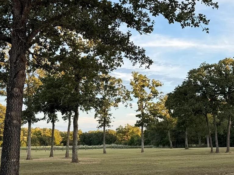 1032 Private Road 7039, Lexington, TX 78947