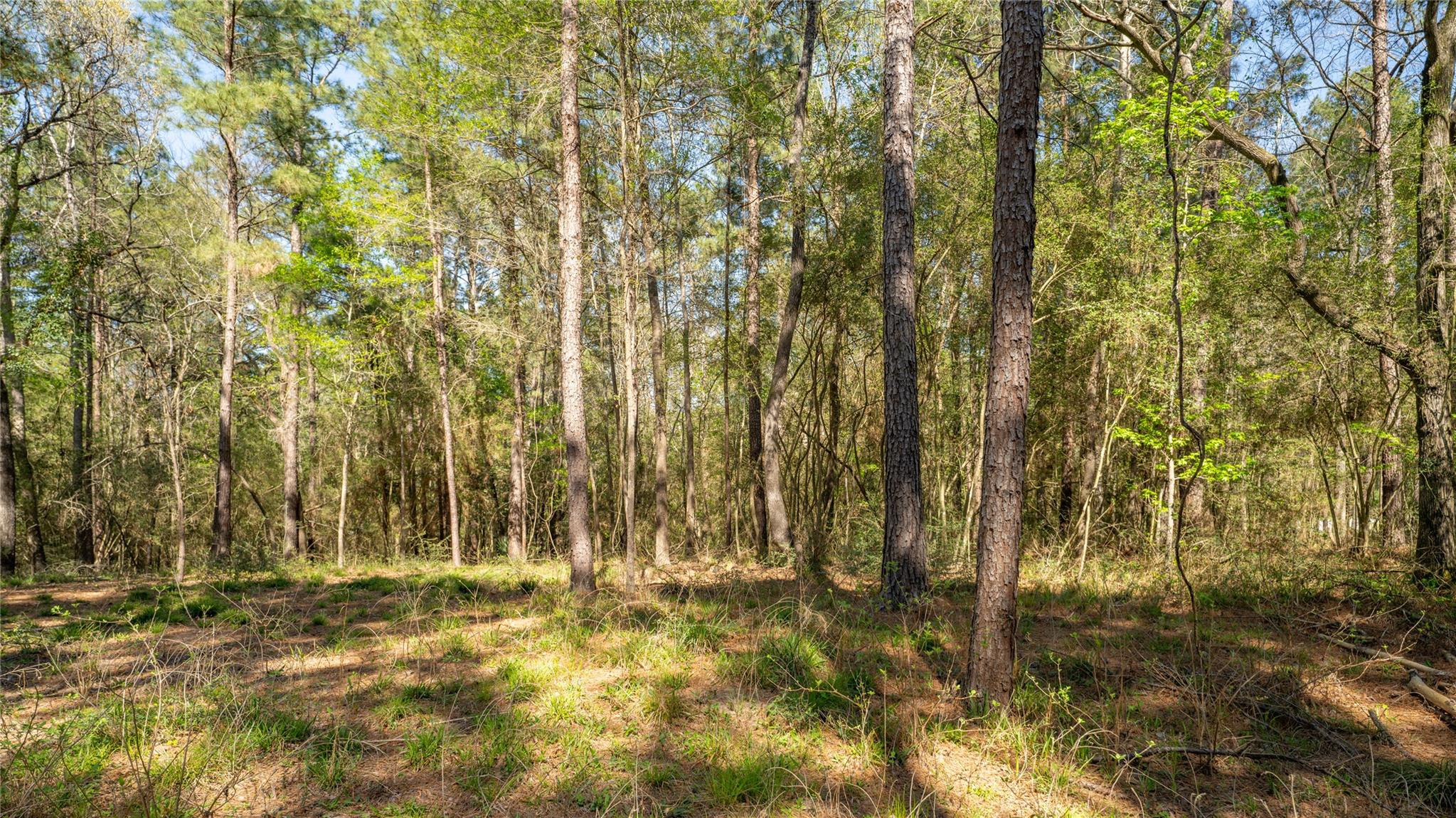 000 Bighorn Rd, Huntsville, TX 77340