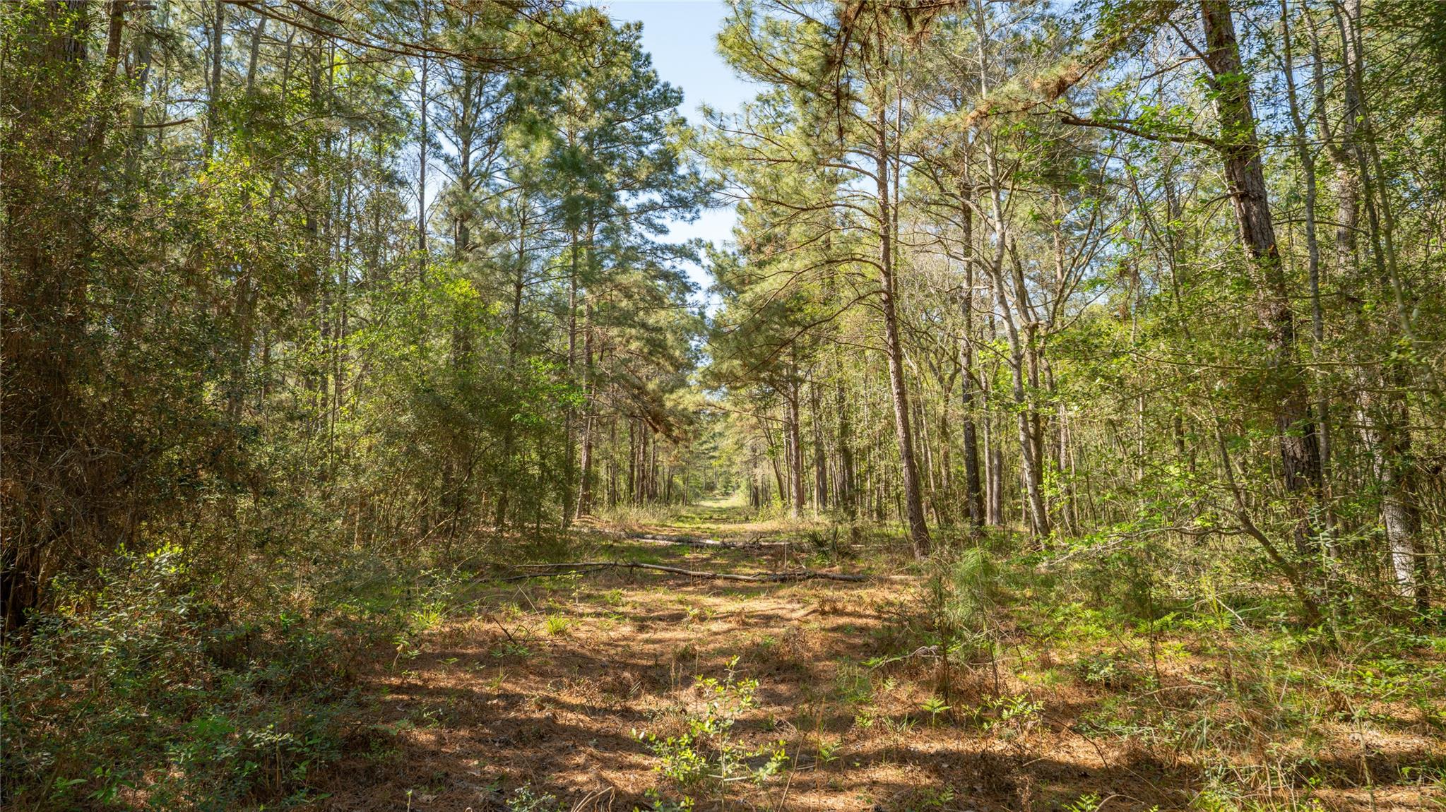 000 Bighorn Rd, Huntsville, TX 77340