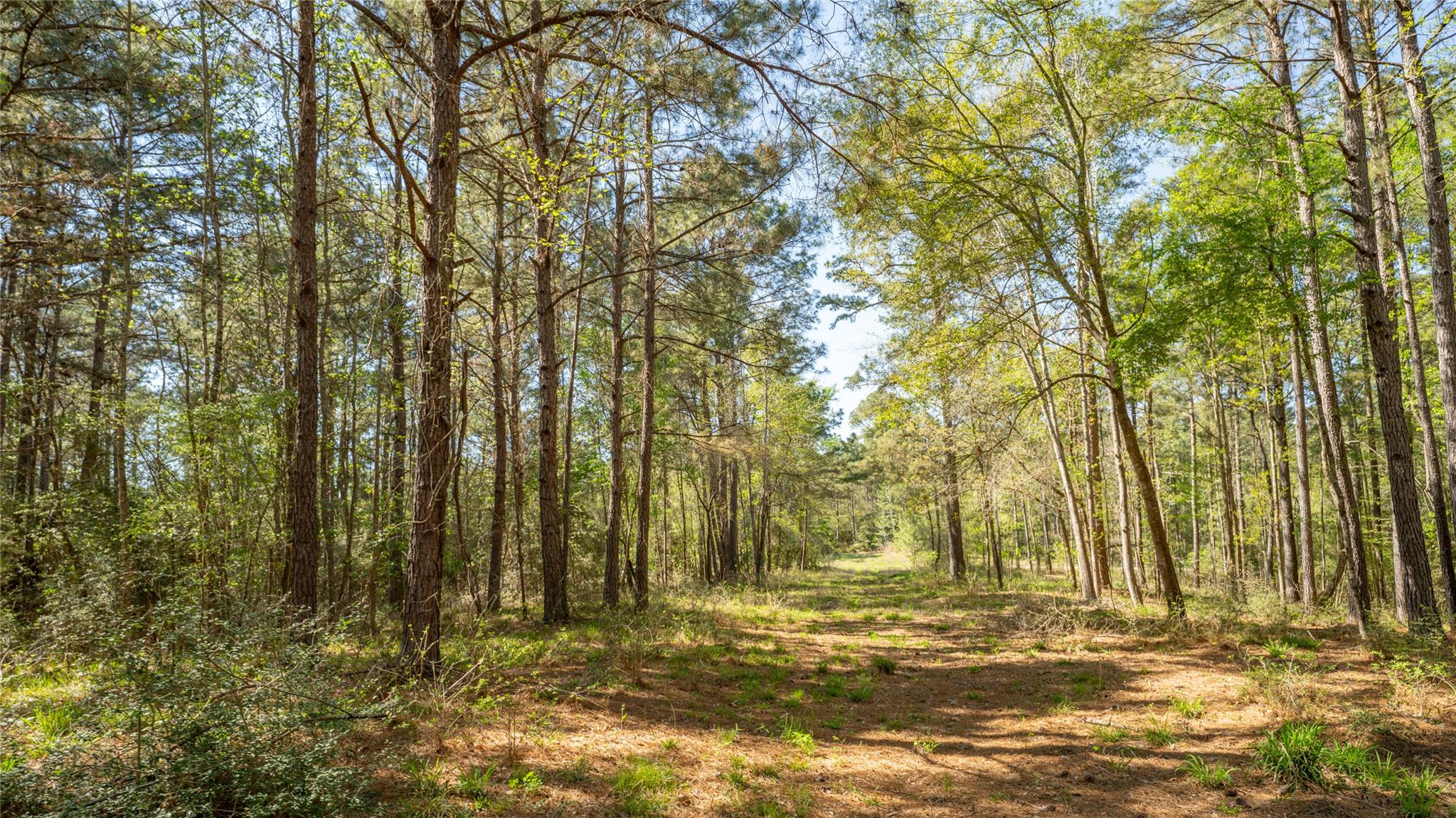 000 Bighorn Rd, Huntsville, TX 77340