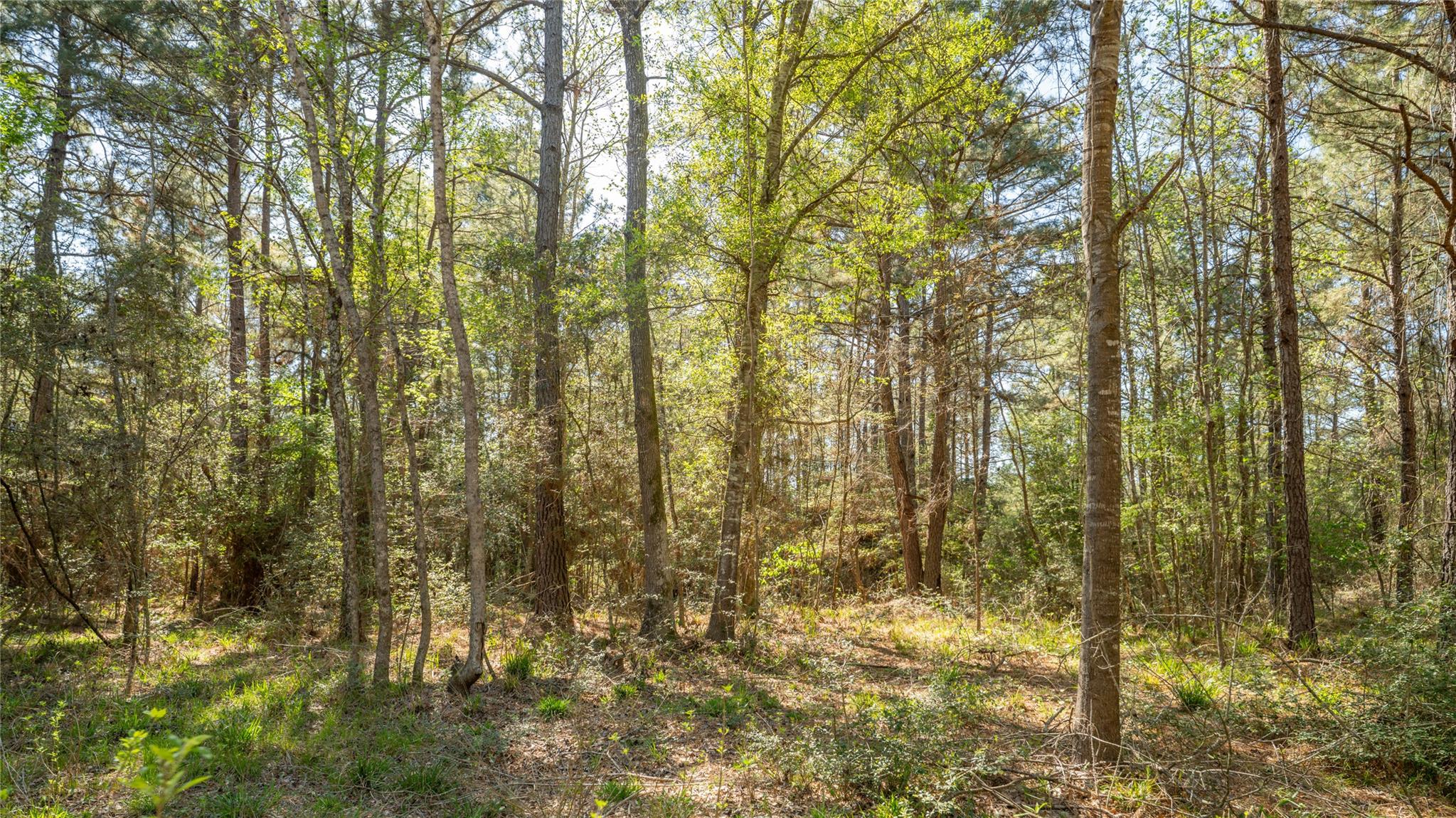 000 Bighorn Rd, Huntsville, TX 77340