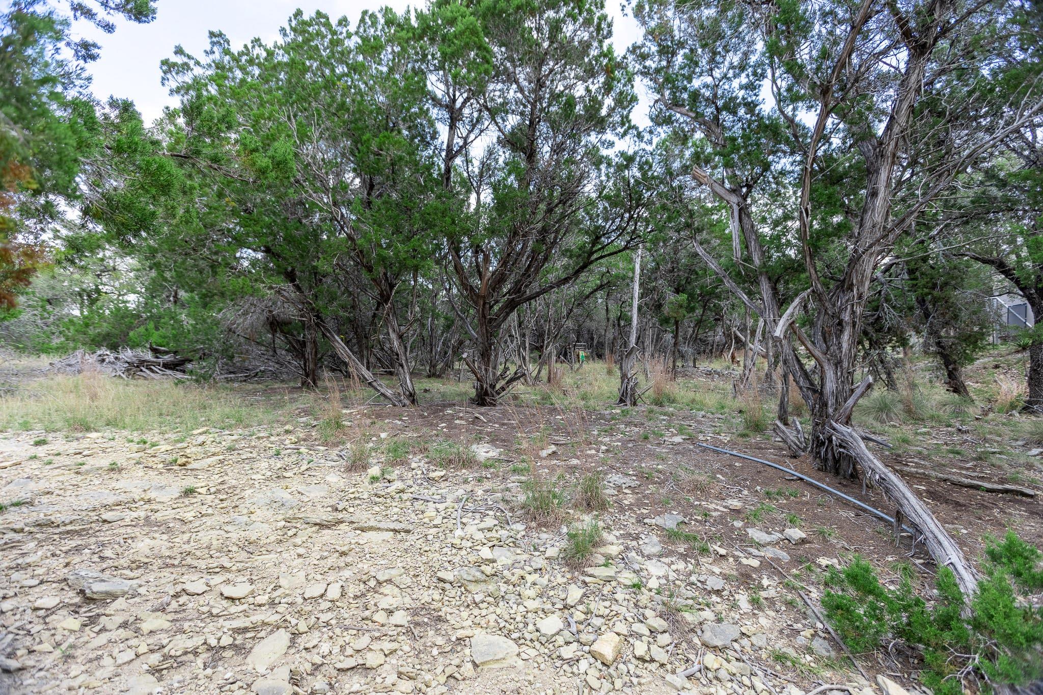 1925 Cripple Creek Stage Rd, Dripping Springs, TX 78620