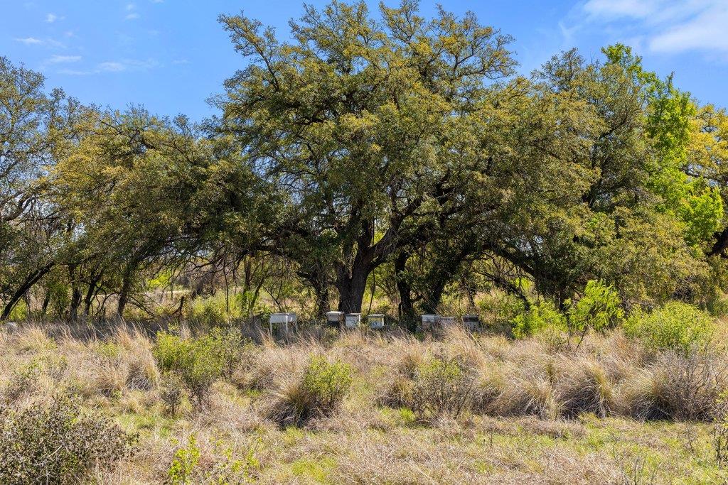 9580 Smith West Ranch Rd, Round Mountain, TX 78663