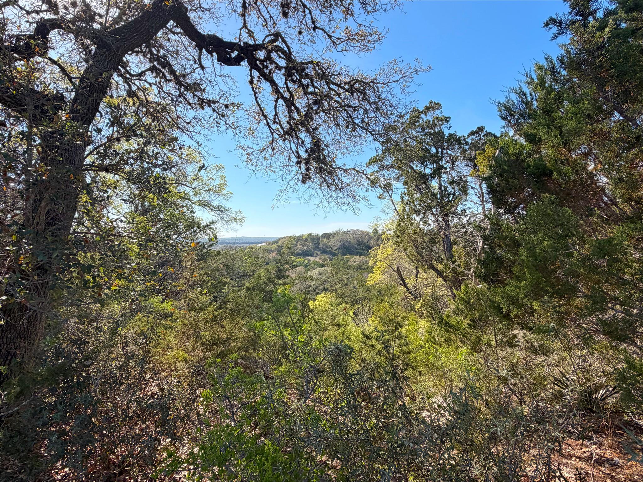 126 Riddle Rd, Spring Branch, TX 78070