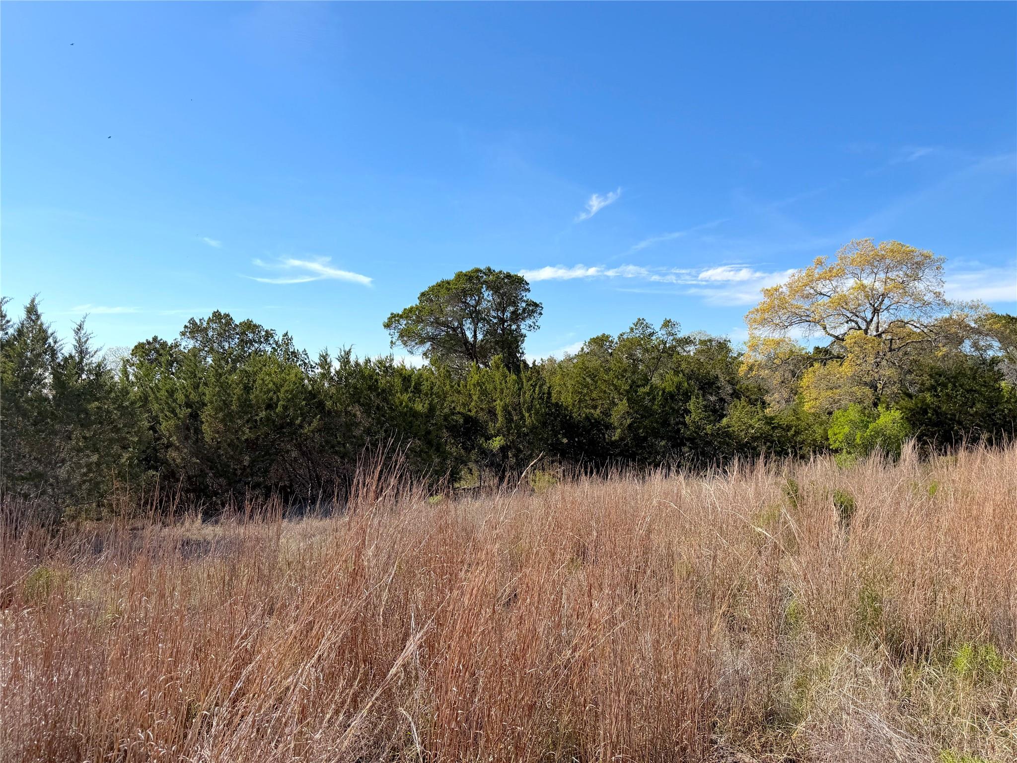 126 Riddle Rd, Spring Branch, TX 78070