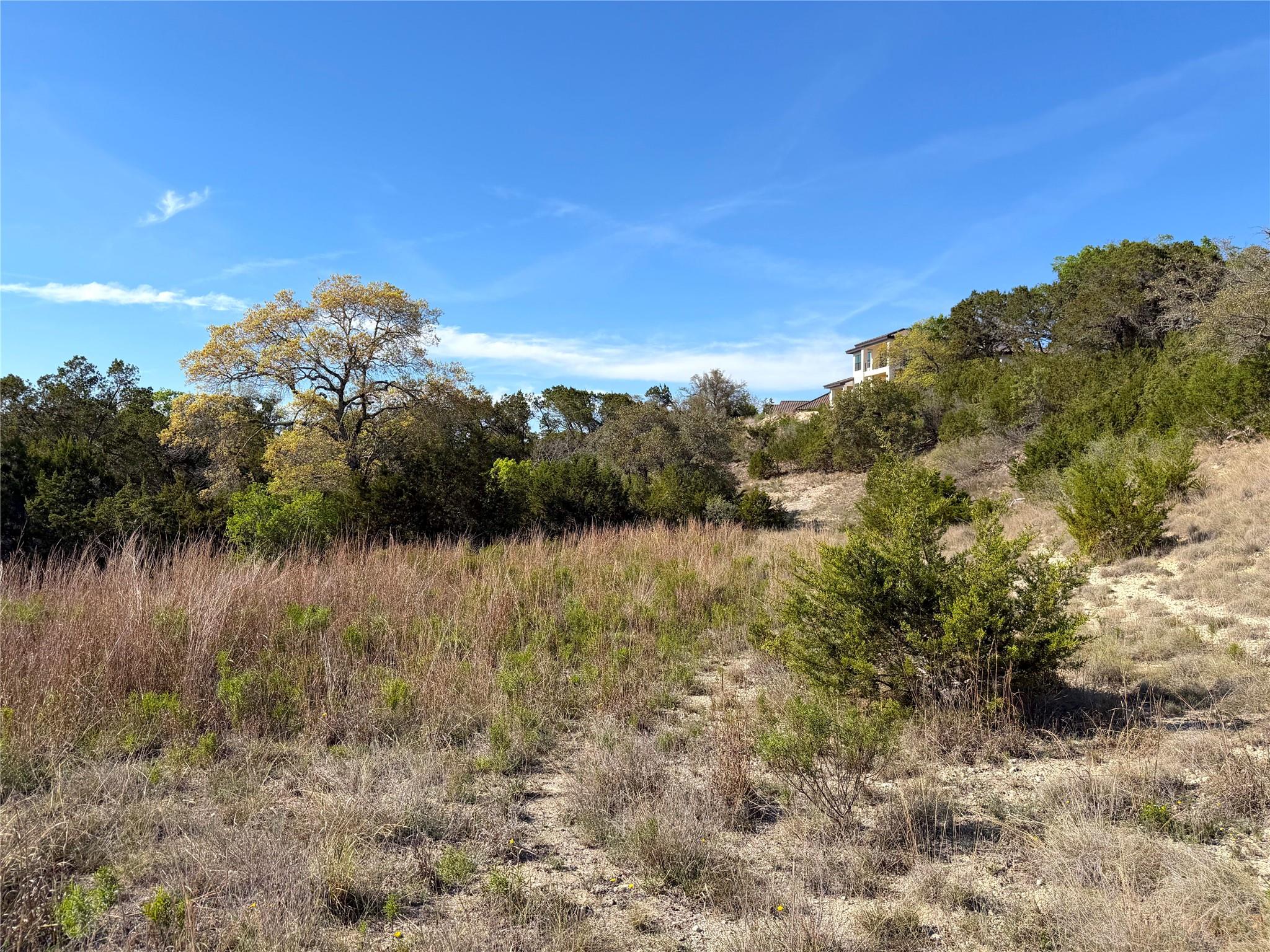 126 Riddle Rd, Spring Branch, TX 78070