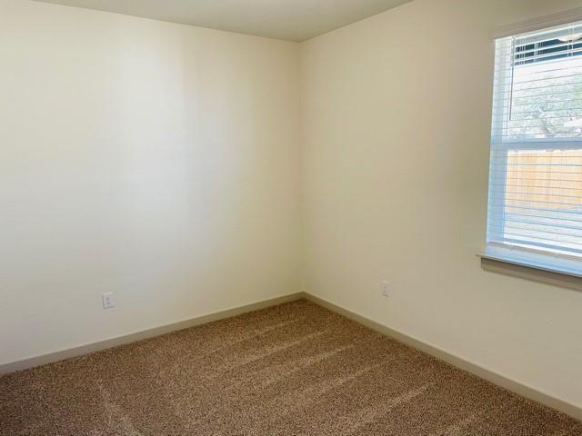 161 Filifera Ct, Leander, TX 78641