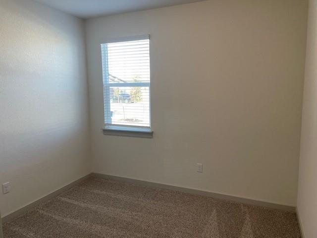 161 Filifera Ct, Leander, TX 78641